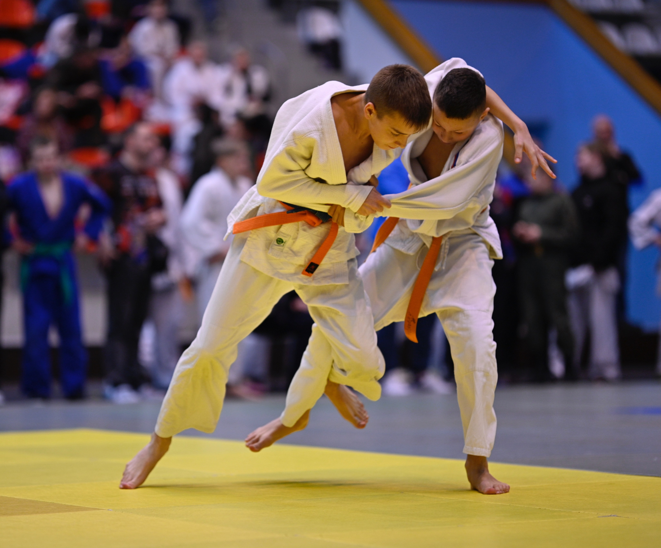 Турнир по дзюдо памяти Андрея Завьялкина. Фотограф Ваших событий 📸