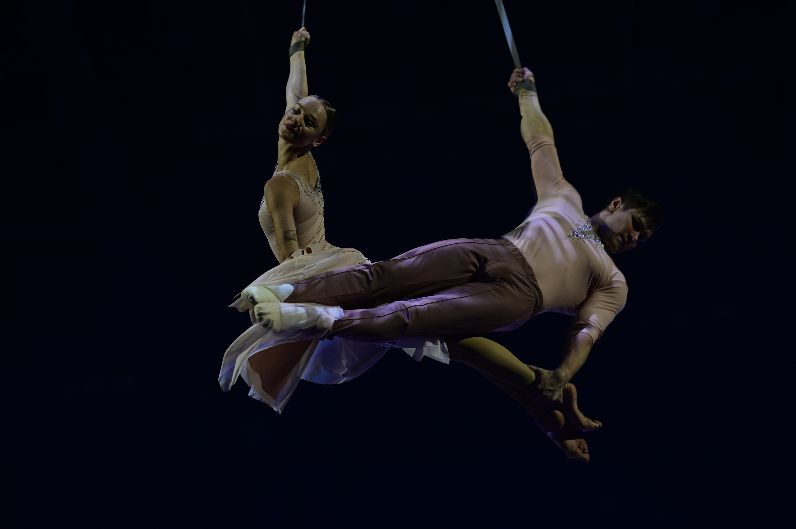 Шоу Светланы Хоркиной «Спортрота». Фотограф Ваших событий 📸