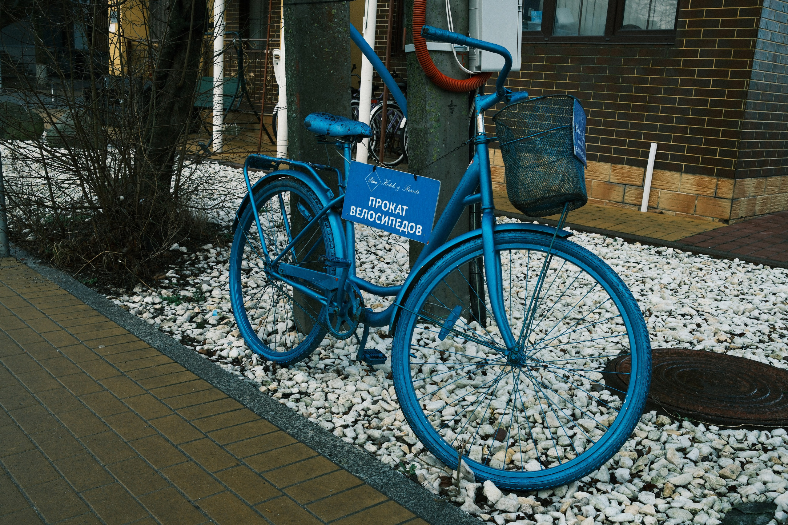 Зеленоградск. Калининградская область. Алексей Торопов фотограф