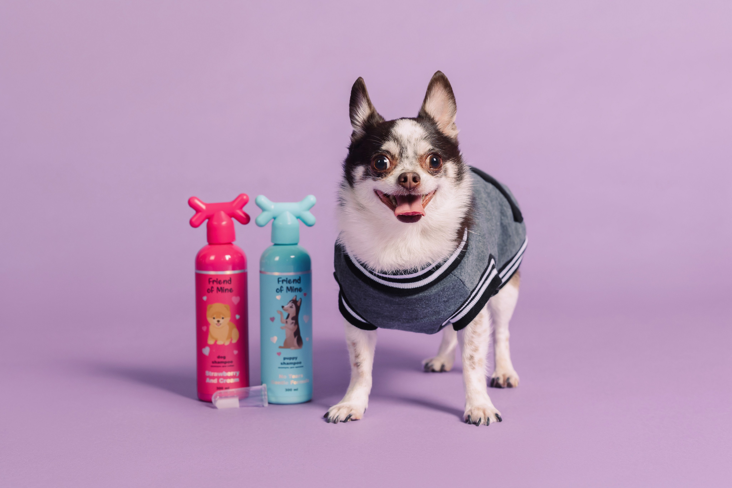 Магазин Friend of mine. Фотограф-анималист Елена Радченко, Москва