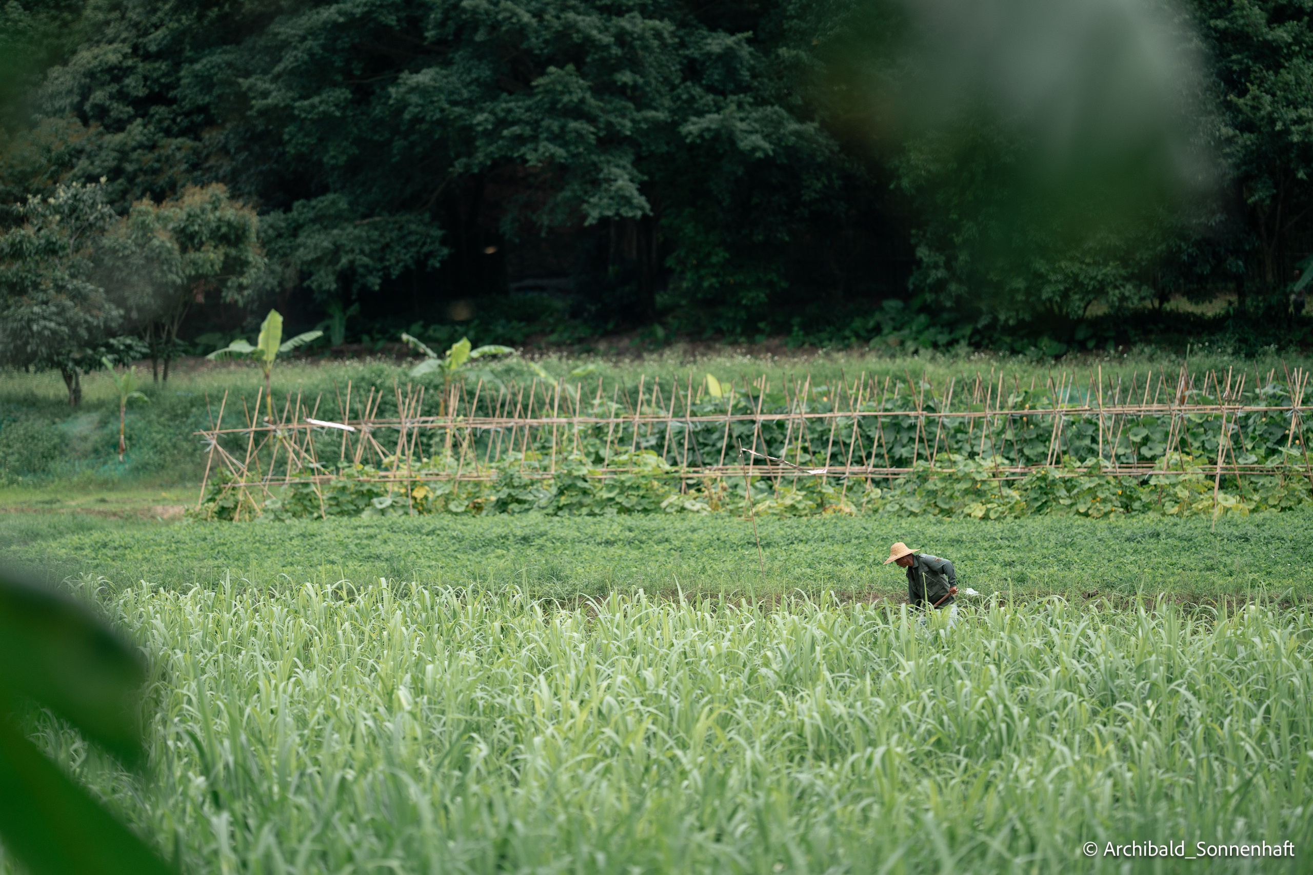 Yakuts festival of rebirth of nature after a hard winter. Photographer in Guangzhou, China. Archibald Sonnenhaft