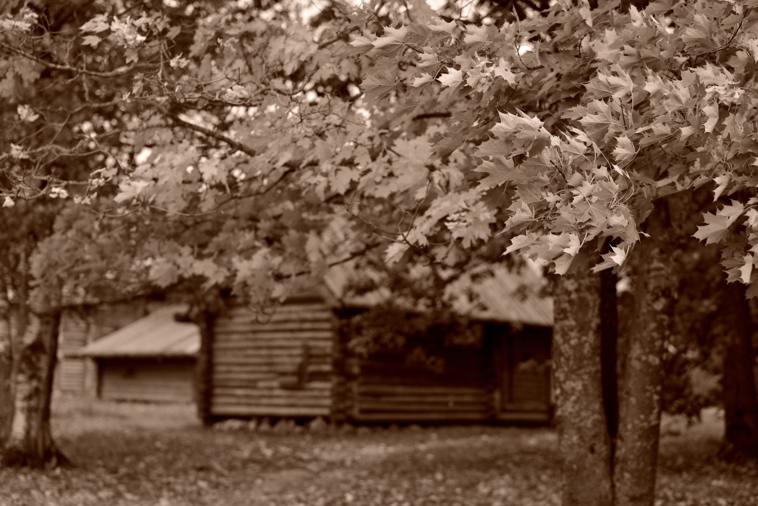 VIEW OF RUSSIA. Personal website of photographer Dmitry Raikin