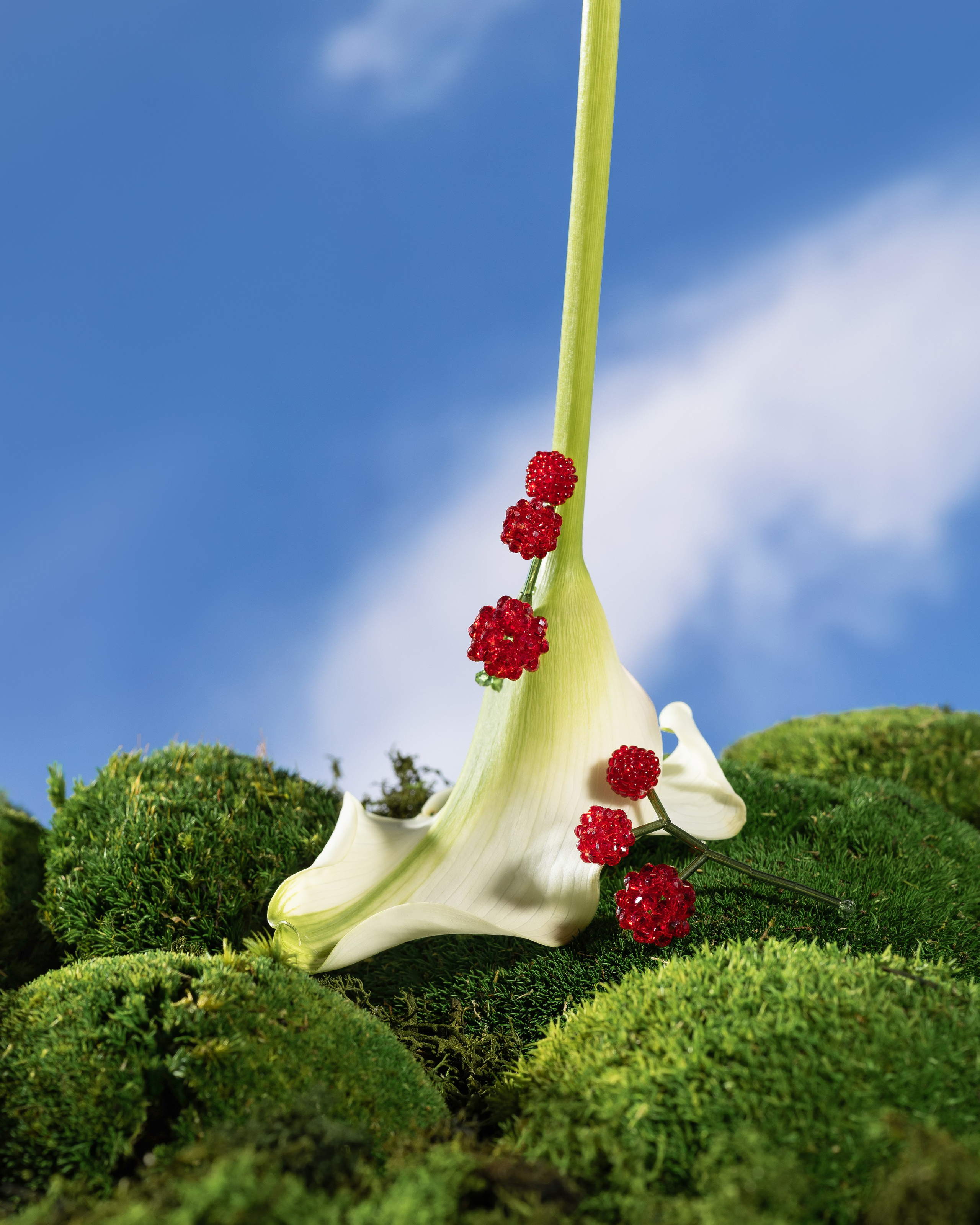 Украшения. Предметная фотография