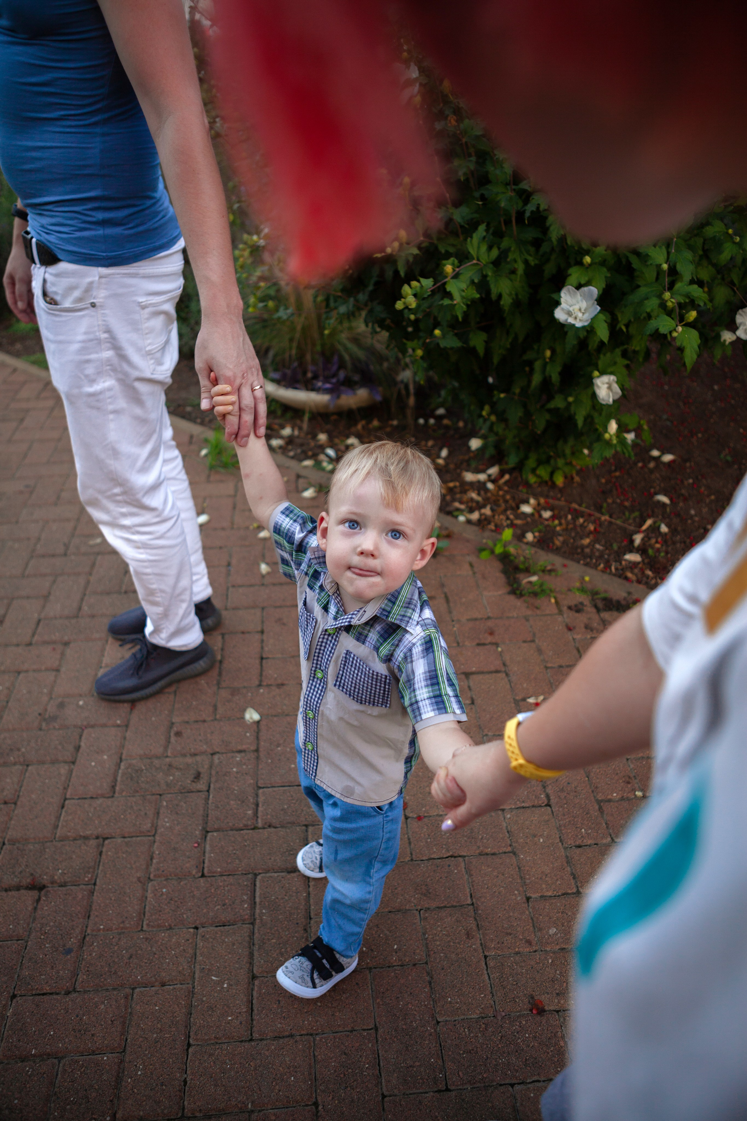 Летняя семейная фотосессия по парку. Фотограф Ставрополь Пятигорск Елизавета Дарина