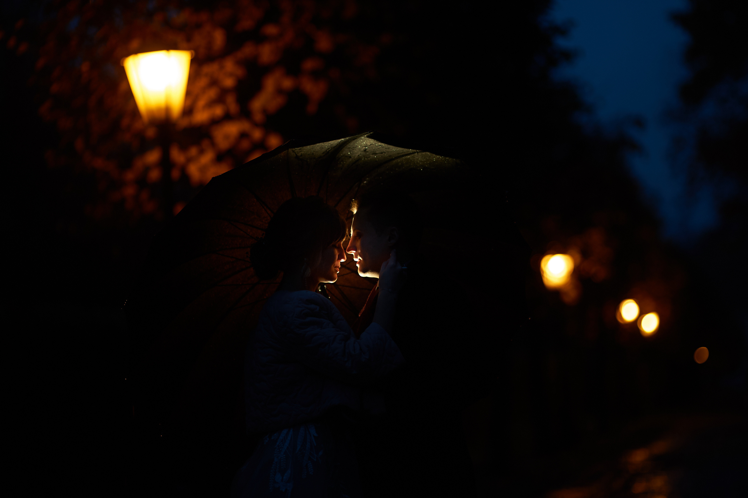 Свадьбы. Свадебный, семейный, фотограф в Коломне, Москве Дмитрий Бурцев