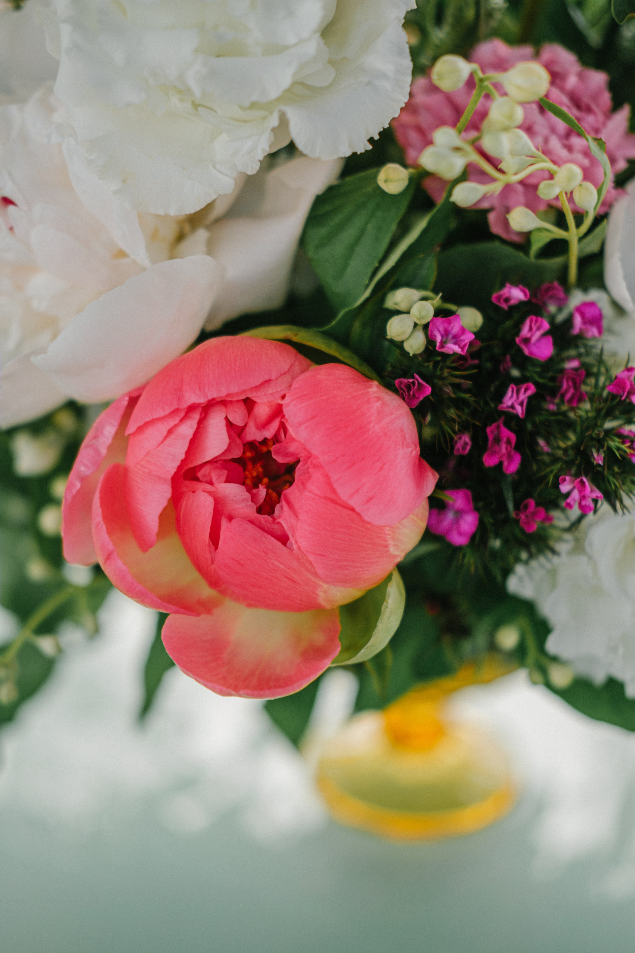 Морской. Свадебный Видеограф Фотограф в Сочи