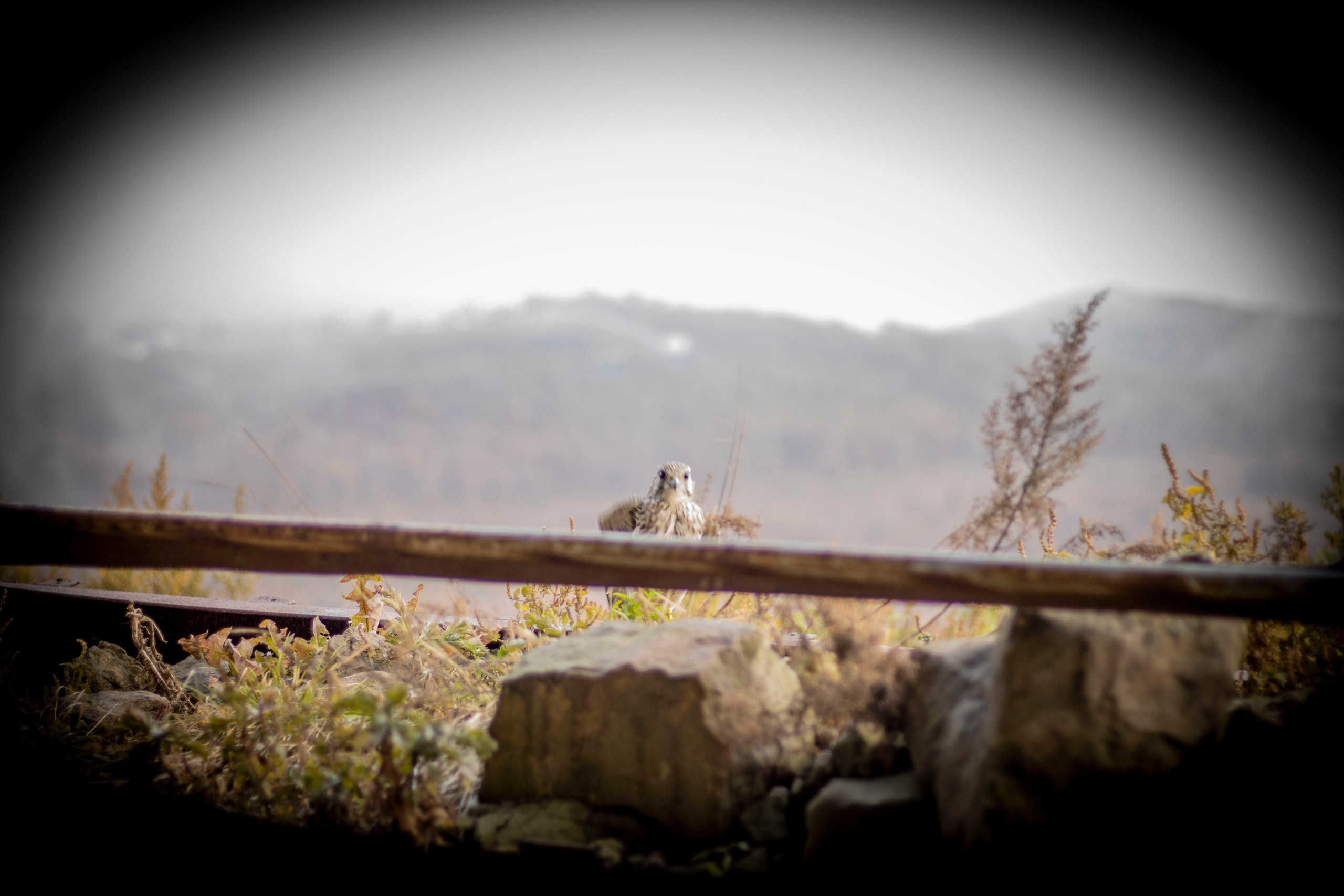 Творческий подход. Фотограф г. Владивосток