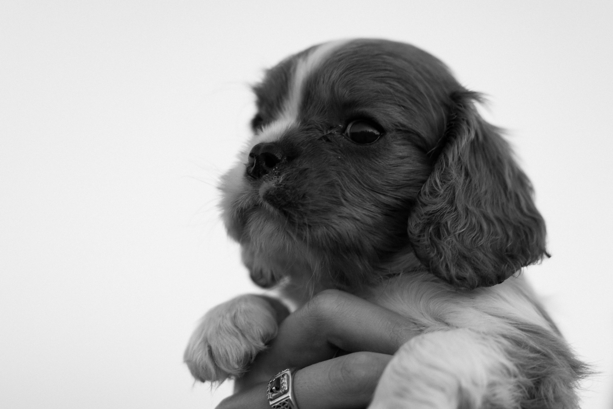 Катюша и Максим. Галерея