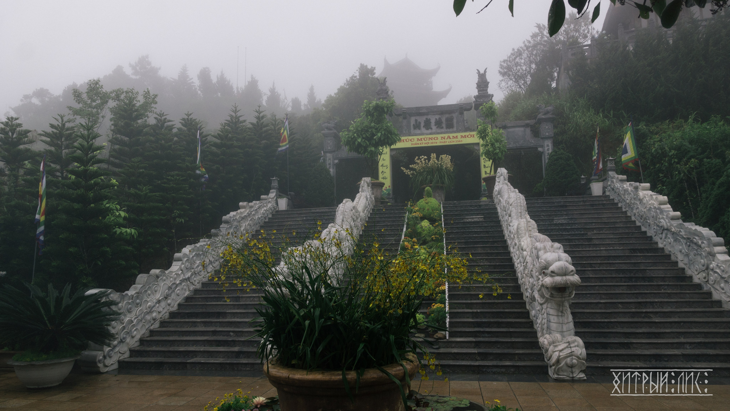 Вьетнам. Фотограф-путешественник Самойлов Максим «Sly Fox»