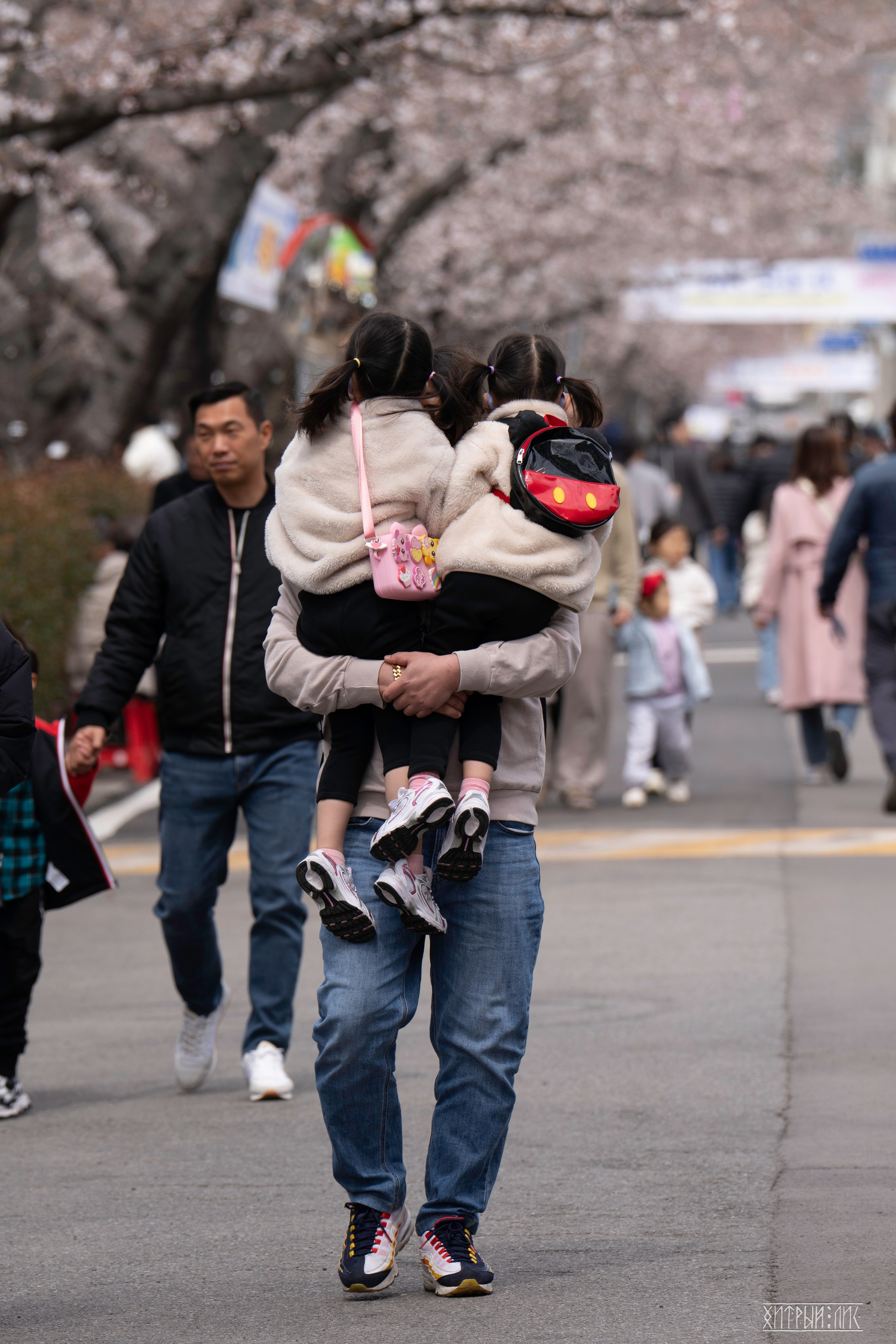 Южная Корея. Фотограф-путешественник Самойлов Максим «Sly Fox»