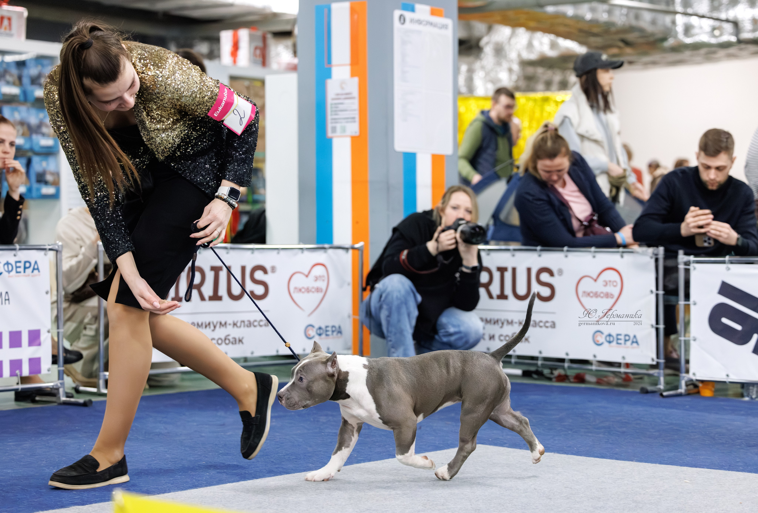 Сфера и Крокус 8,9,16 и 30.03.2025. Фотограф-анималист Юлия Германика