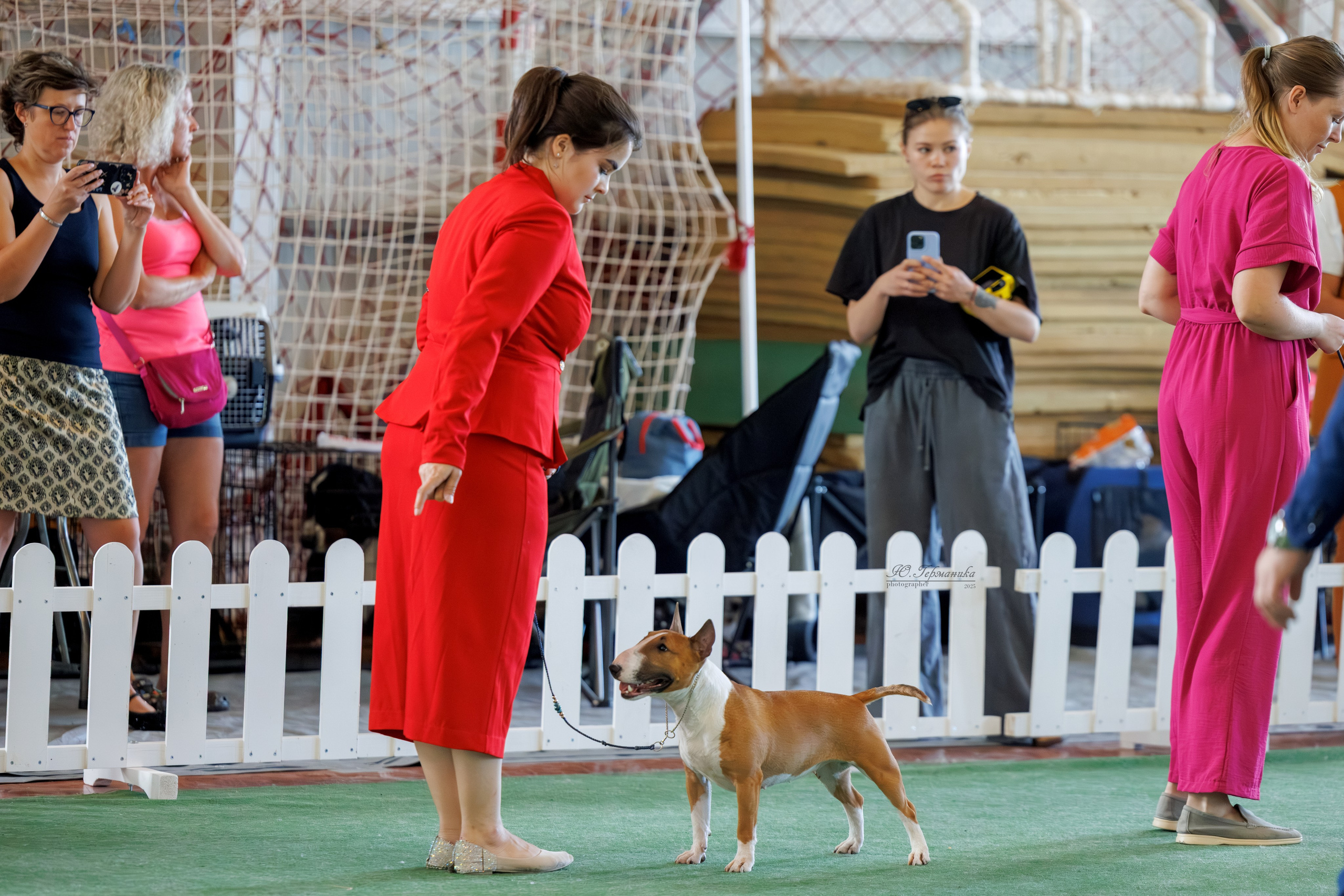 Батуми 3хCACIB 27-29.06.2025. Фотограф-анималист Юлия Германика