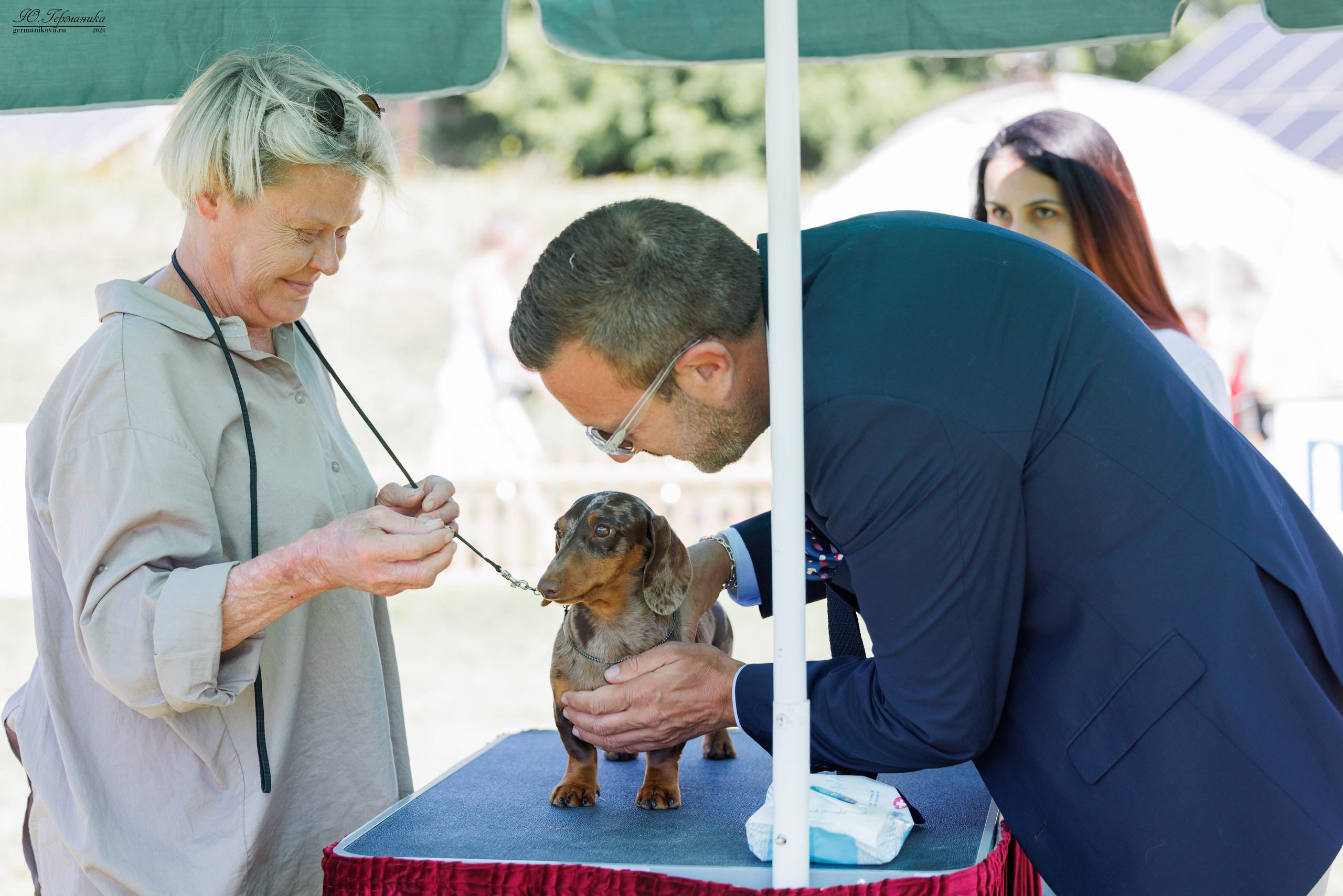 Ереван 3-5.06.2024. Фотограф-анималист Юлия Германика