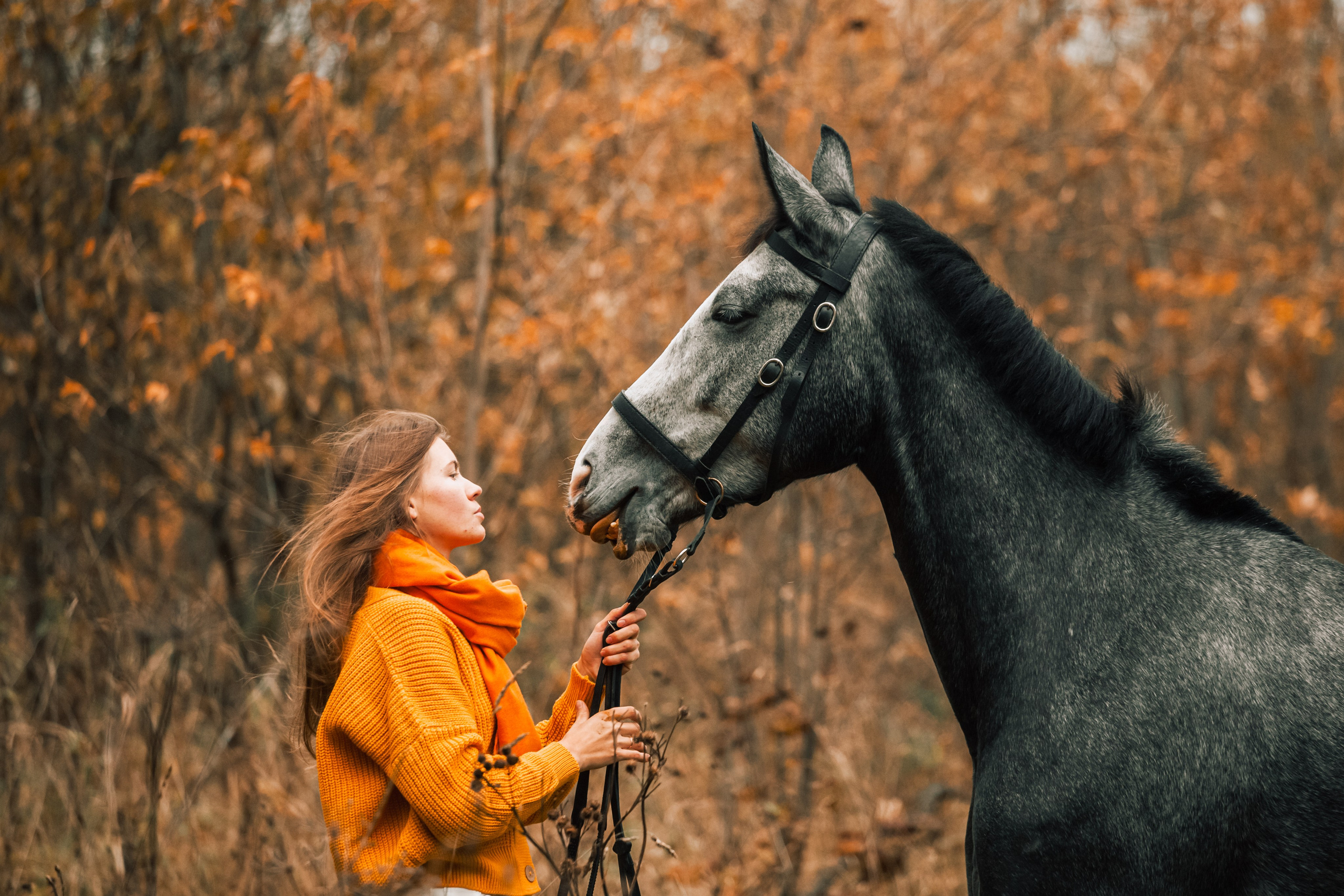 Аня и Джози. Фотограф-анималист Татьяна Степанова