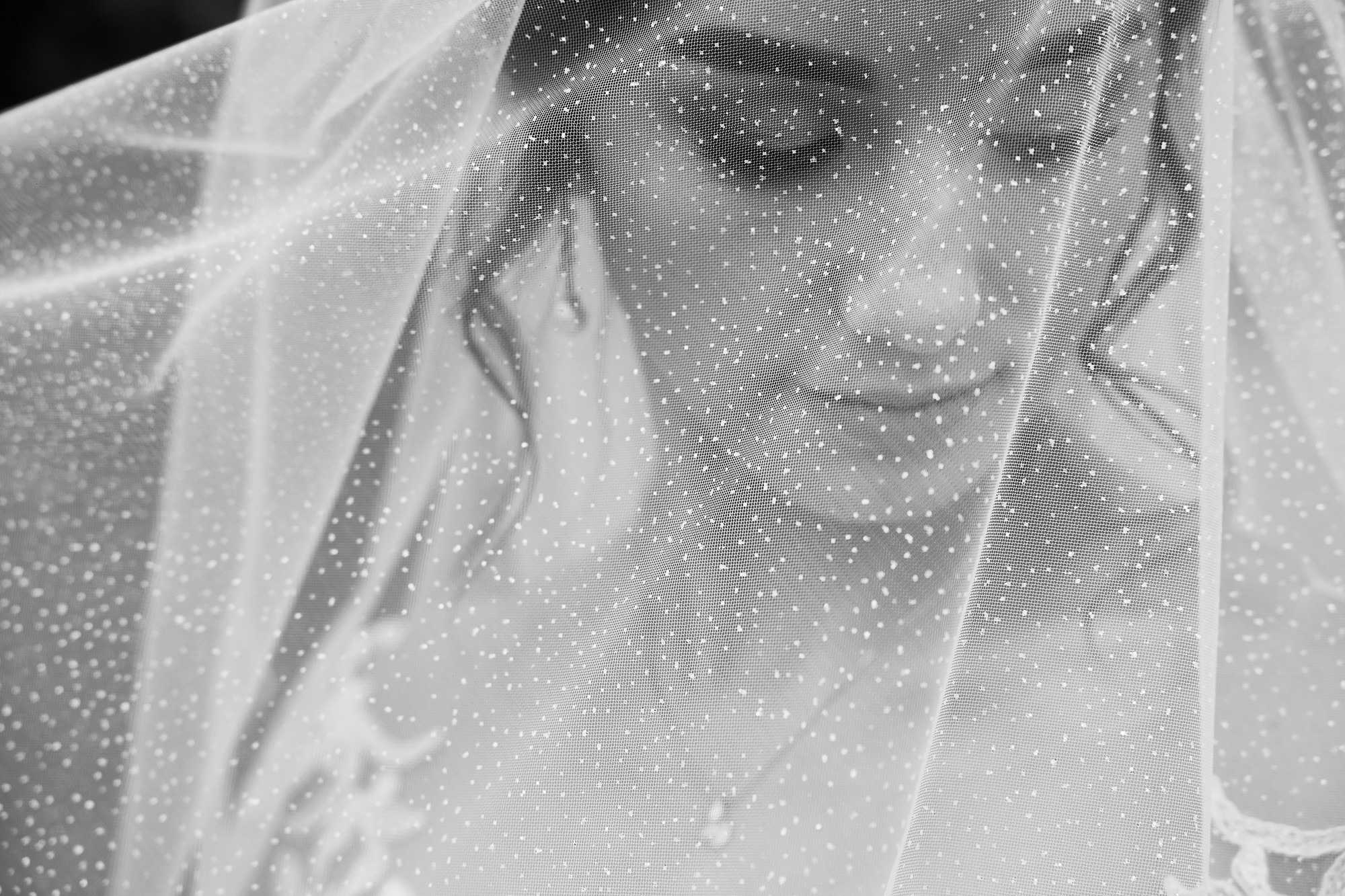 Свадебная фотосессия Сергея и Алины. Свадебный фотограф Луганск Андрей Кийко Краснодар