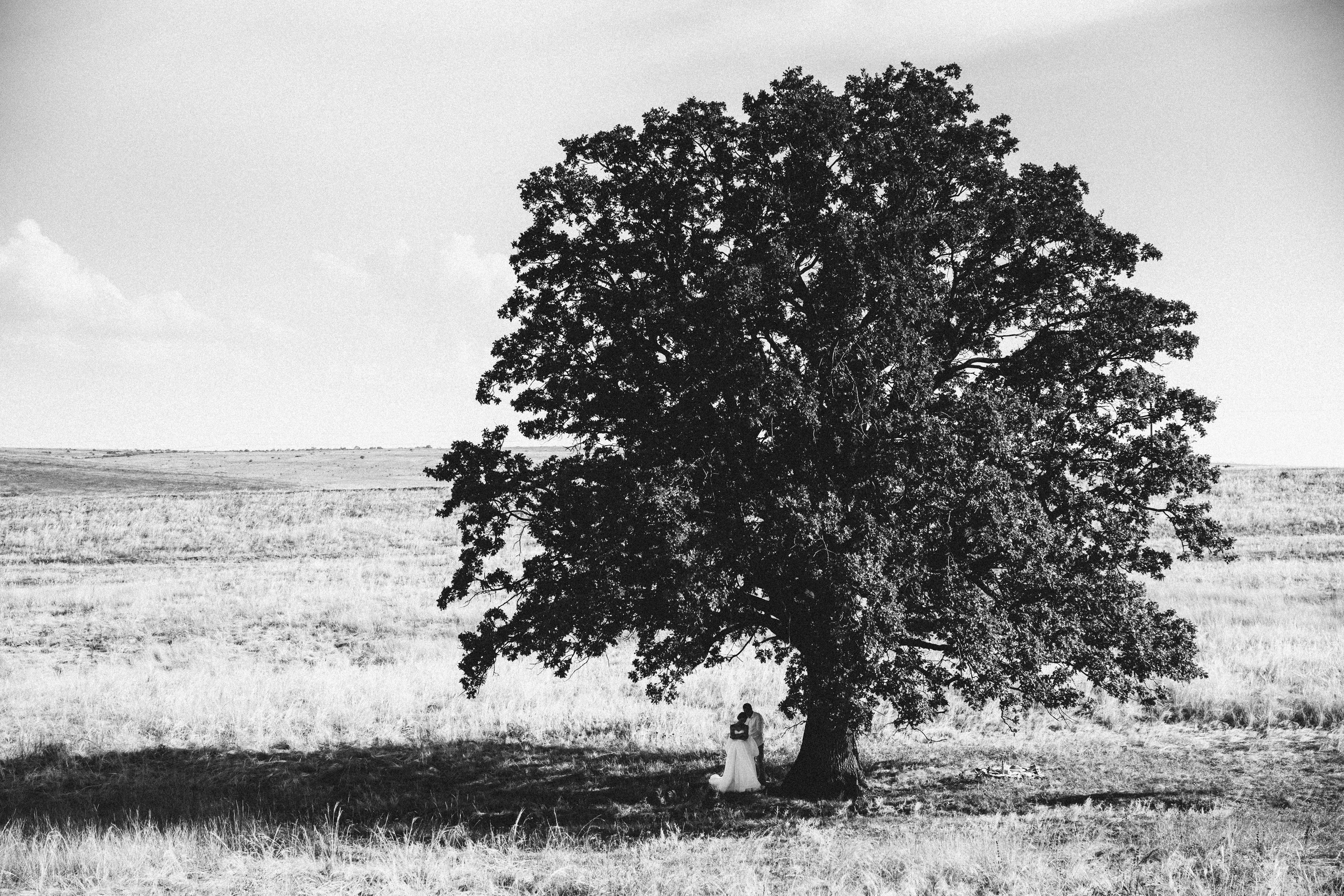 Сергей и Юля. Свадебный фотограф Луганск Андрей Кийко Краснодар