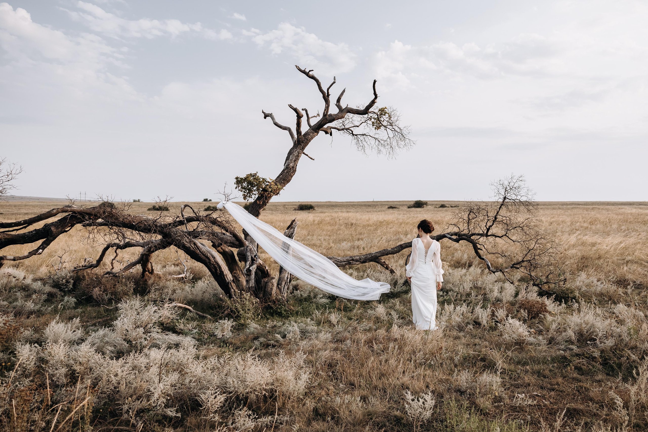 Лера и Дима. Свадебный фотограф Луганск Андрей Кийко Краснодар