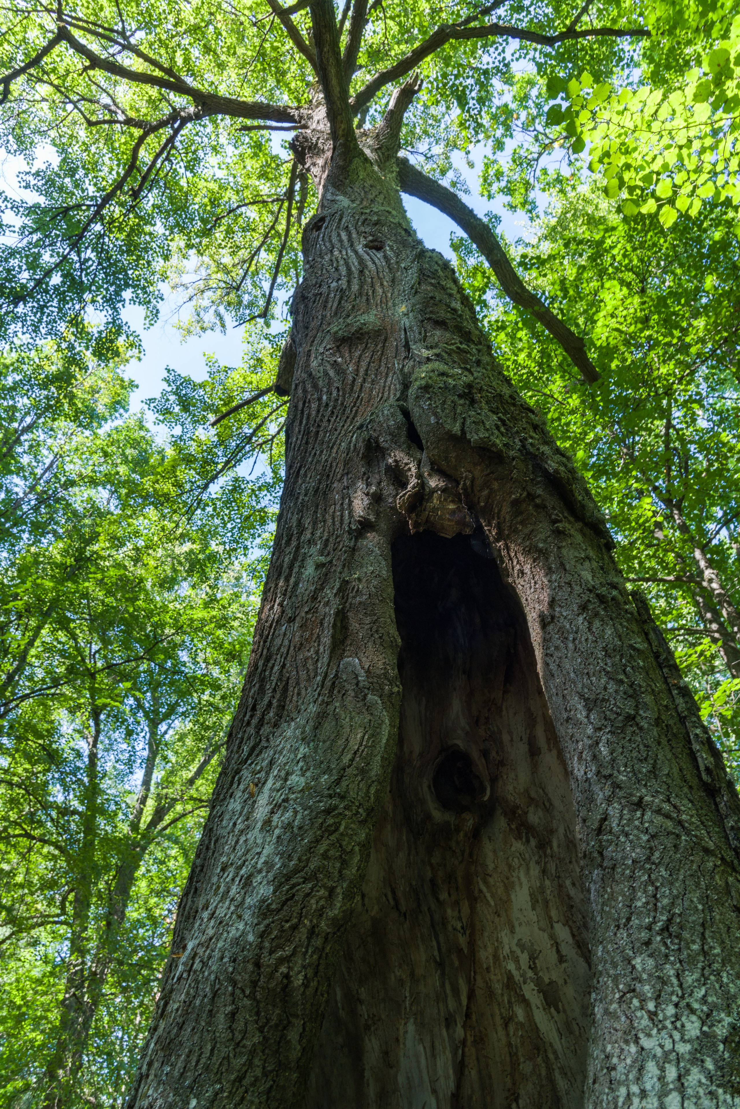 Торжок. Пейзажный фотограф Сергей Пестерев. Фото природы