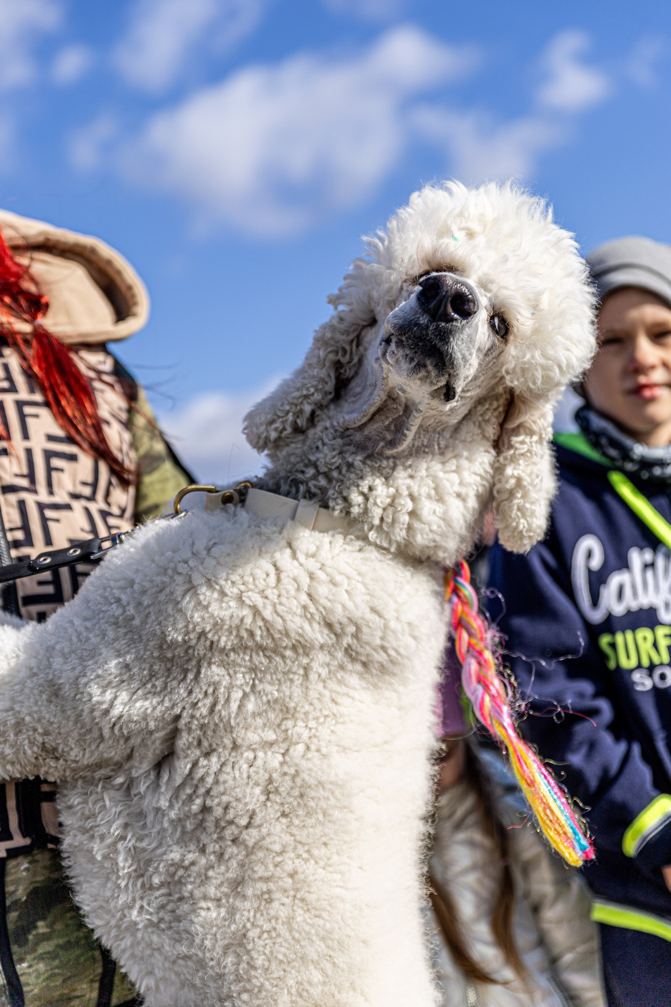 Кинологический квест г. Находка