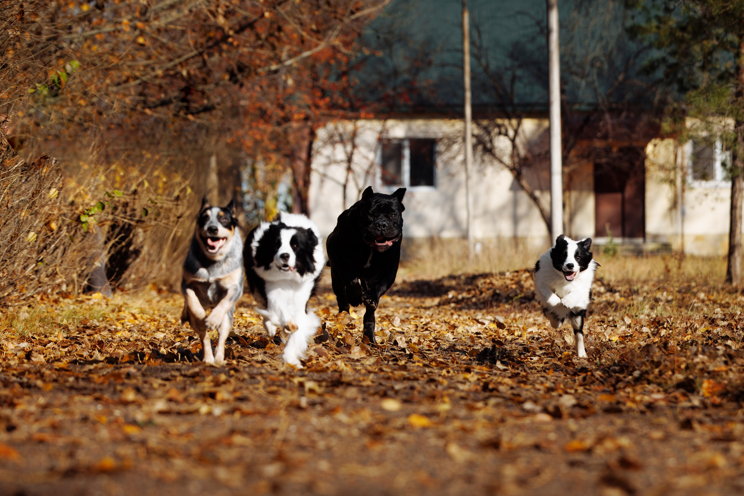 Выставка октября в Оренбурге. О нас
