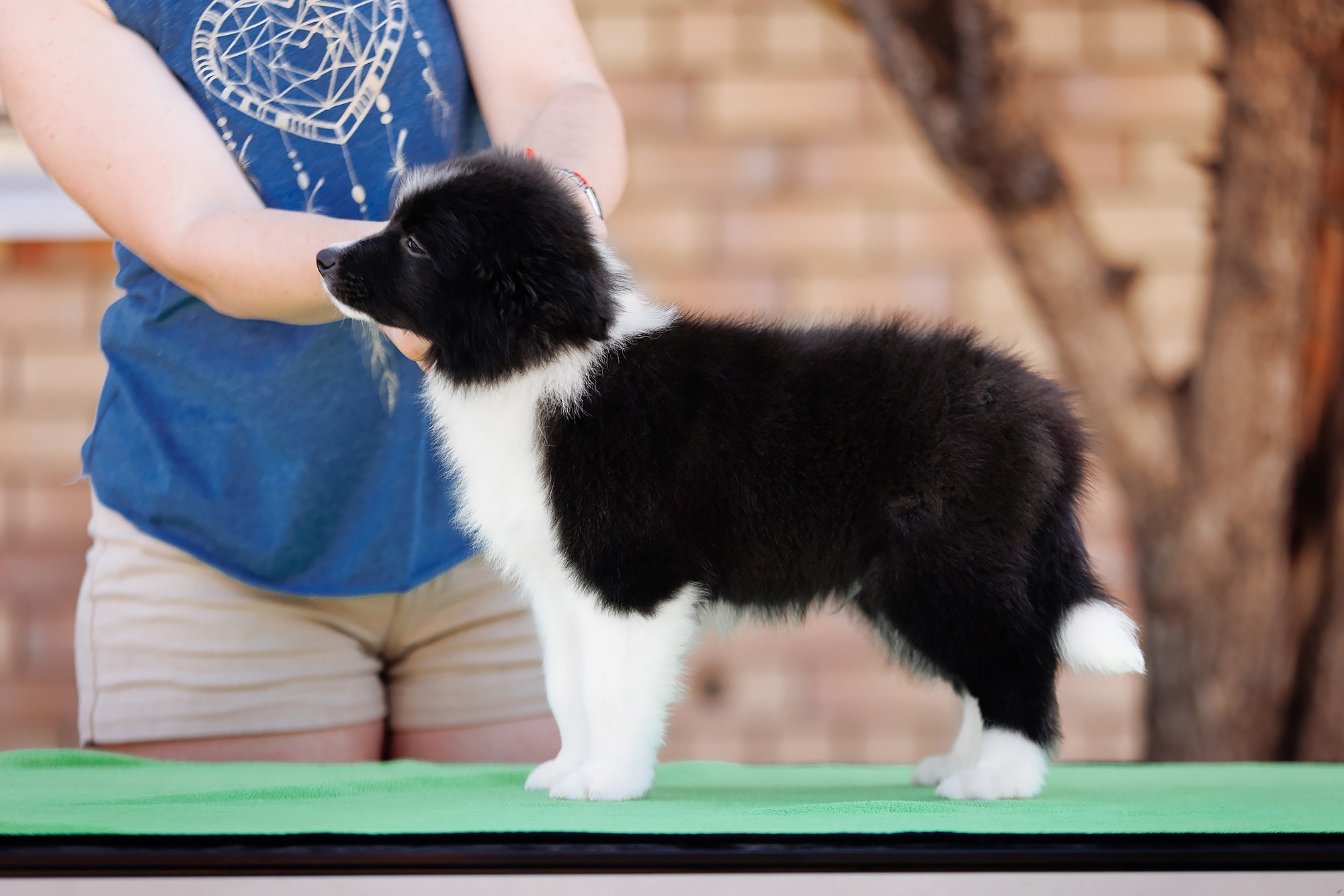 Трава у дома. О нас