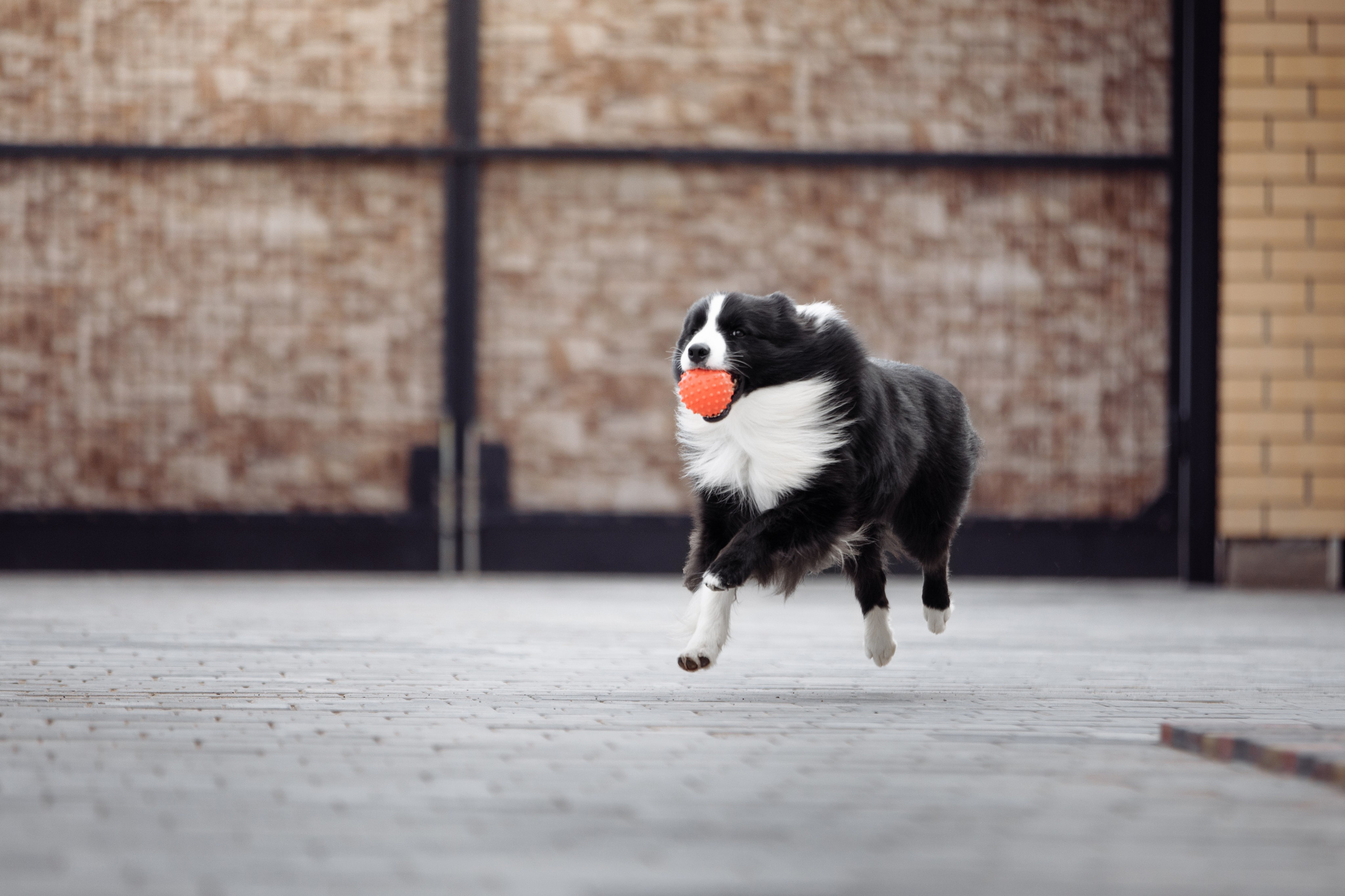 Свое место. О нас