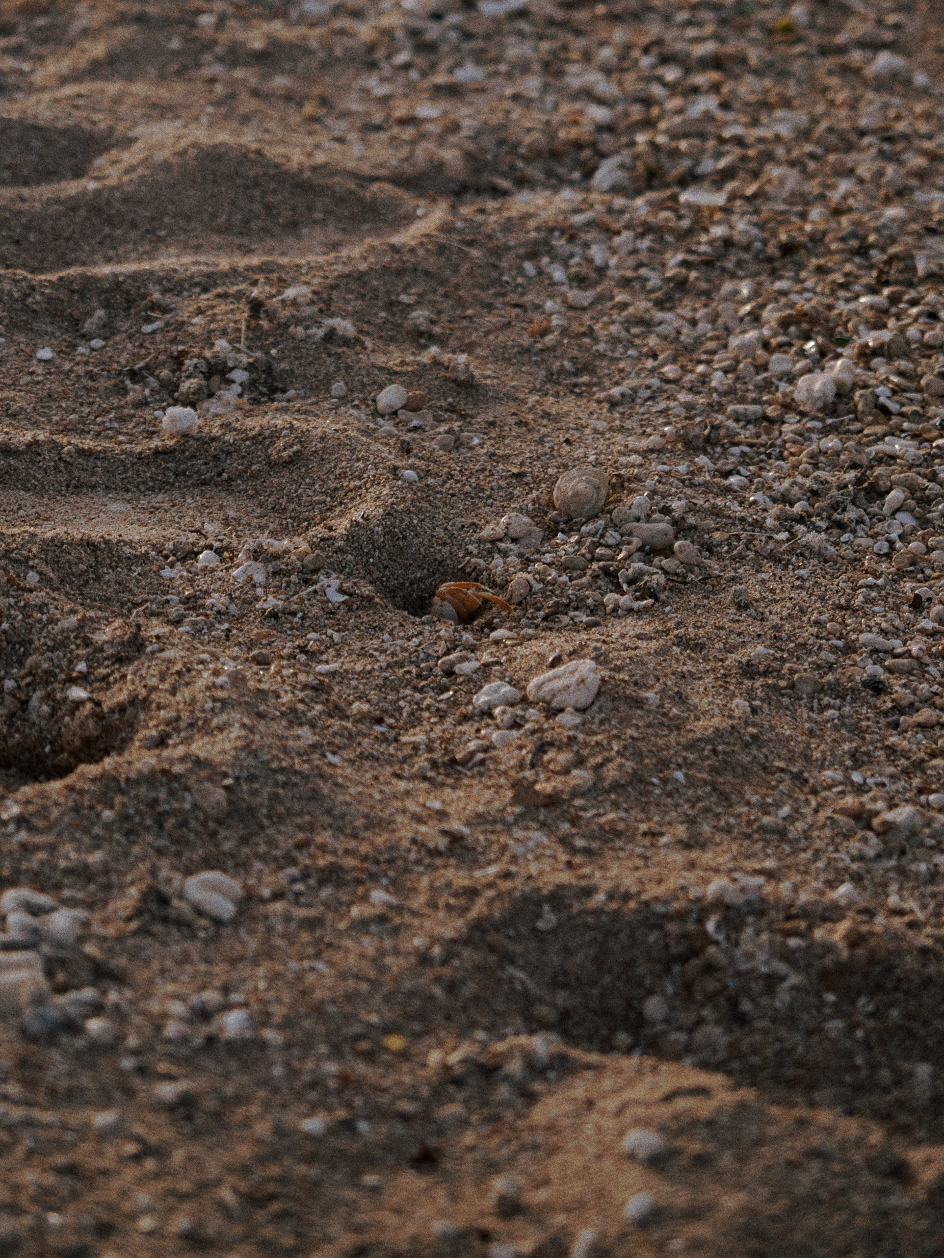 Диптих. Jorgis — фотограф в Хургаде / обучение фотографии