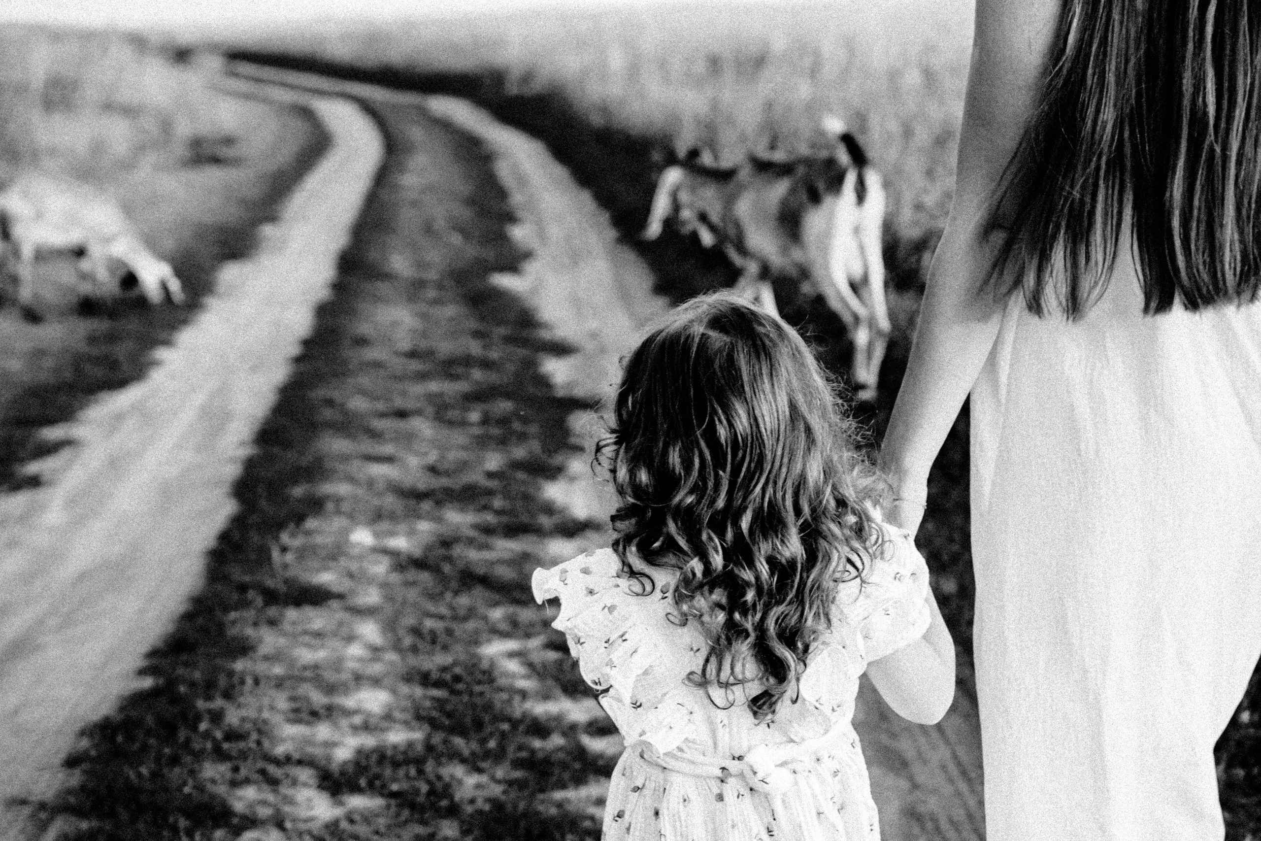 Семейная съемка на закате