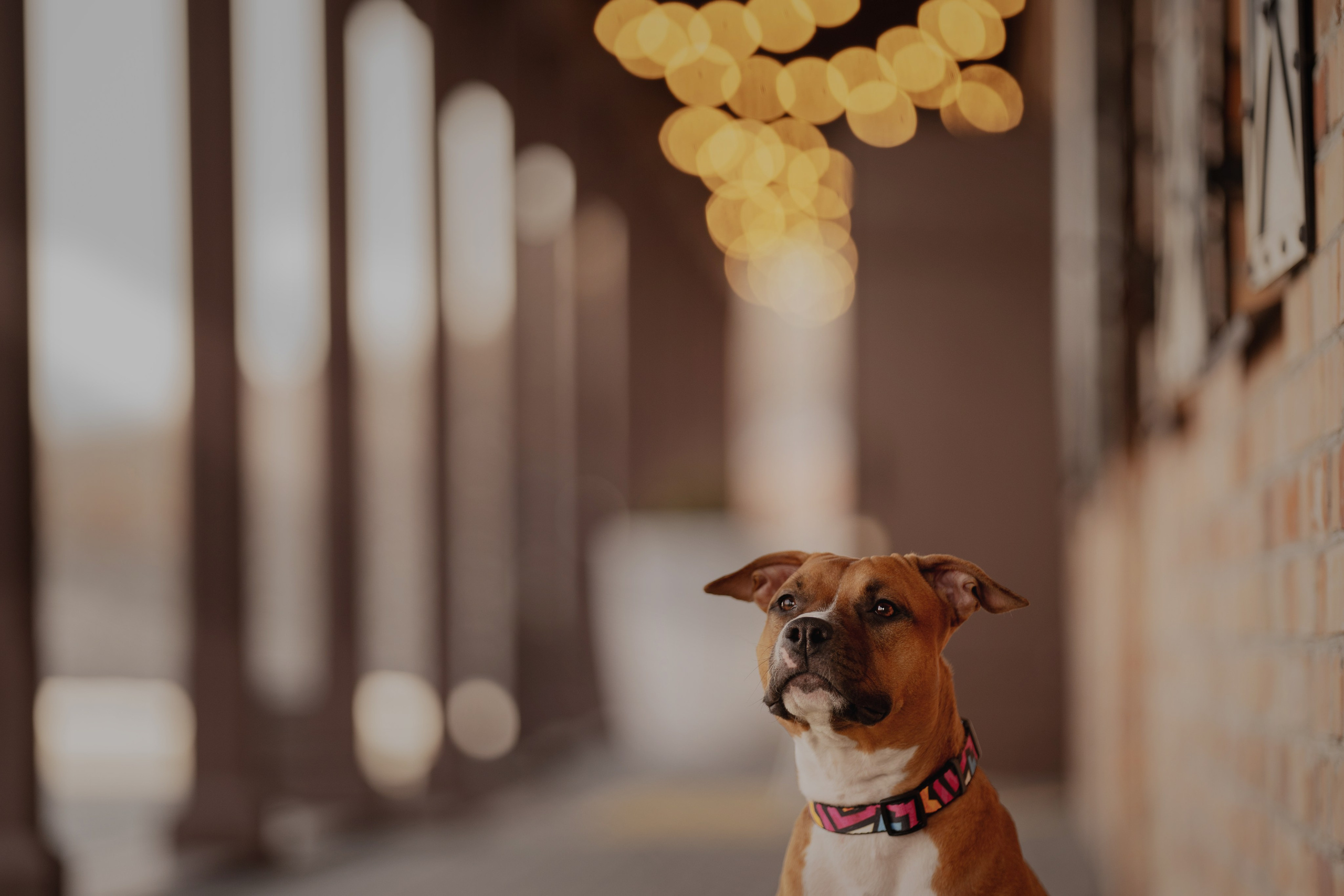 Луна. Kameramotor74