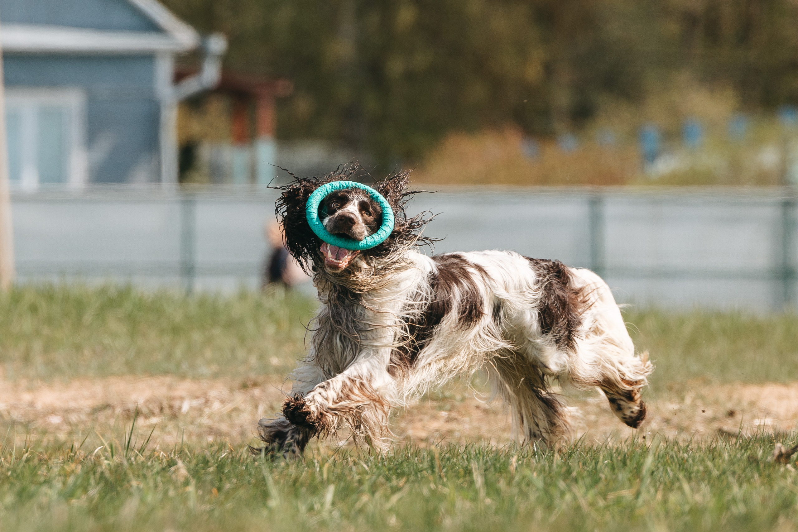 Спанимания. Фотограф анималист Осипчикова Мария