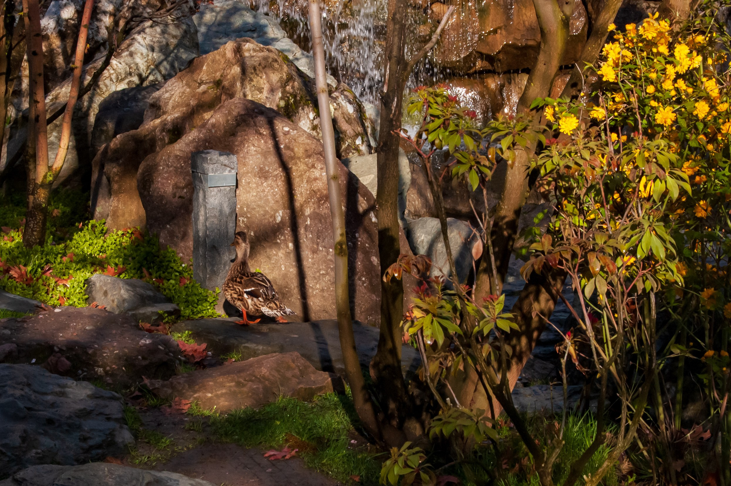 Фотосессия в Краснодаре. Портретный фотограф в Краснодаре Слава Никитин