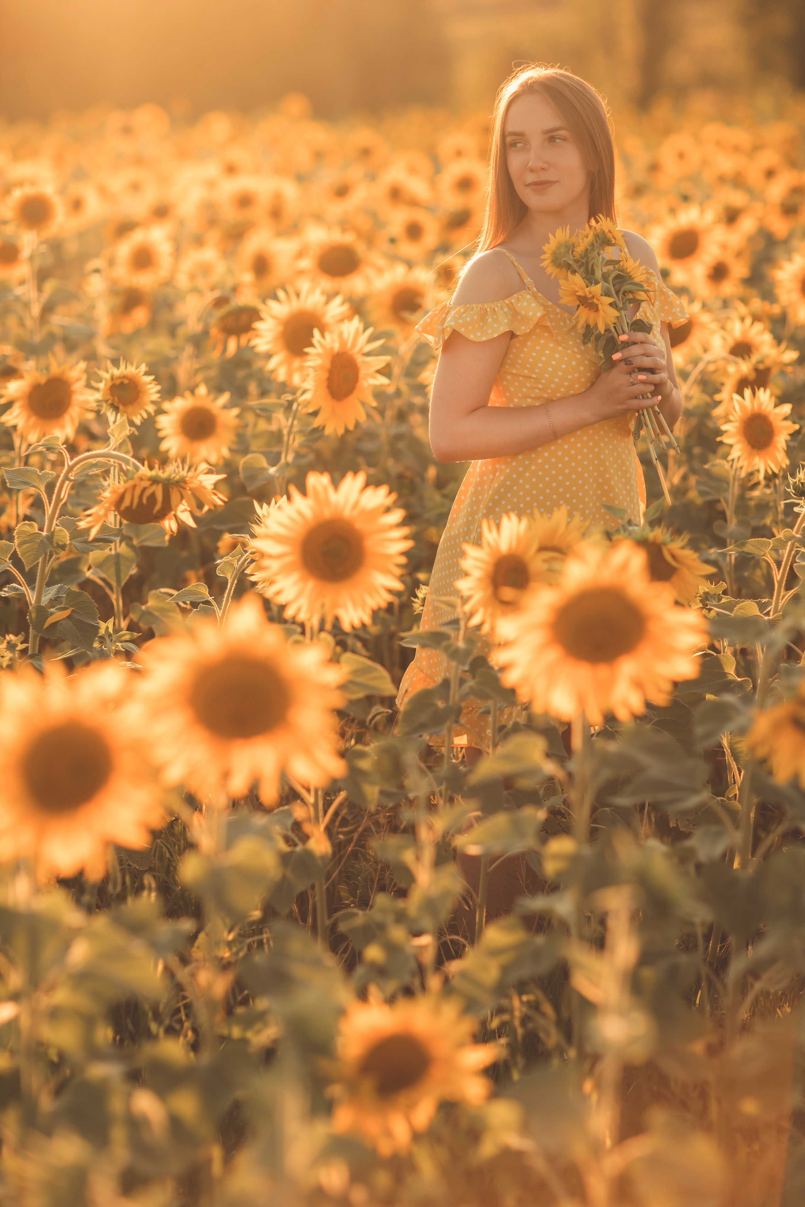Подсолнухи. Семейный и детский фотограф Краснодар Валерия Власенко