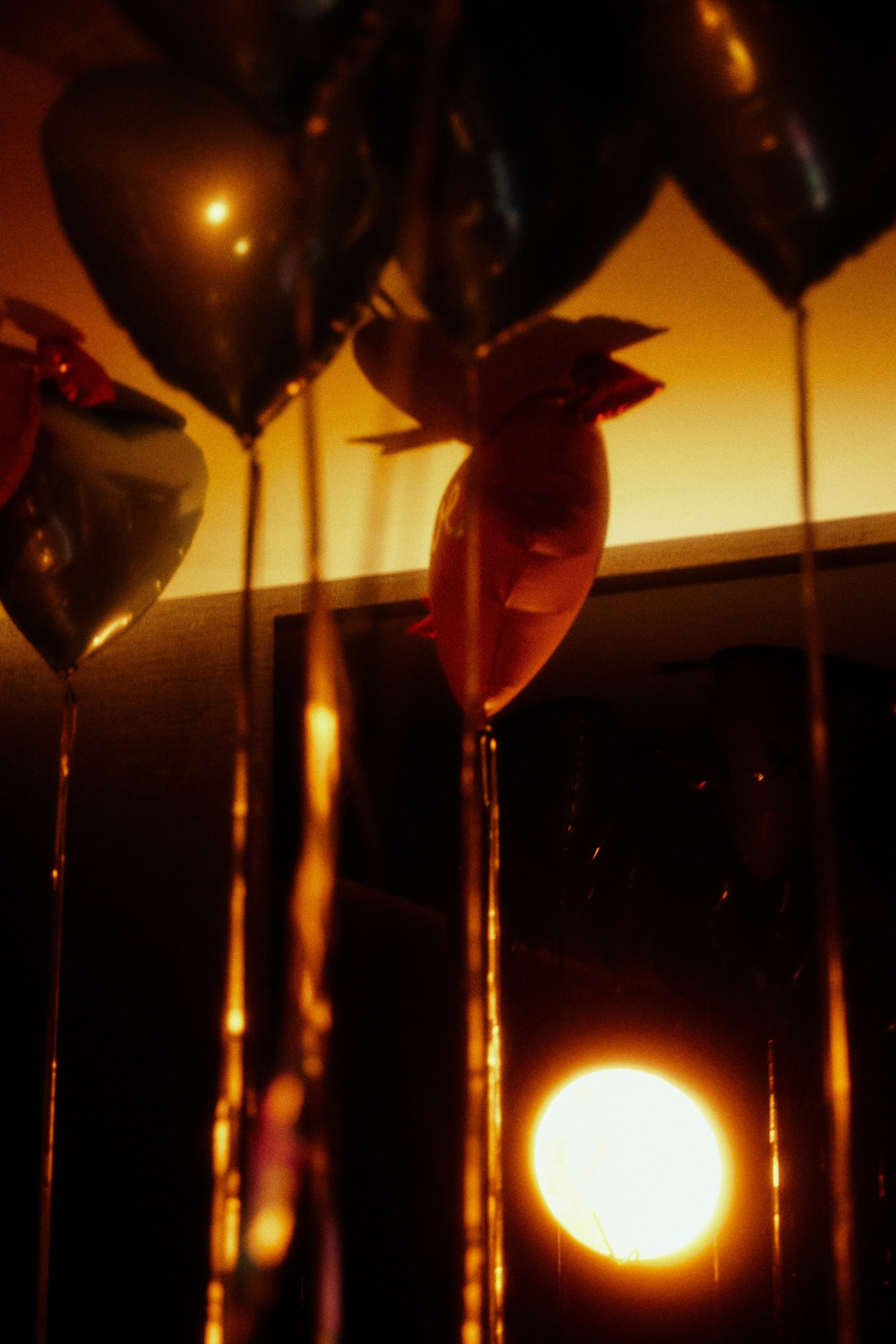 BACHELORETTE PARTY. Дмитрий Мазуркевич: Профессиональный Репортажный Фотограф