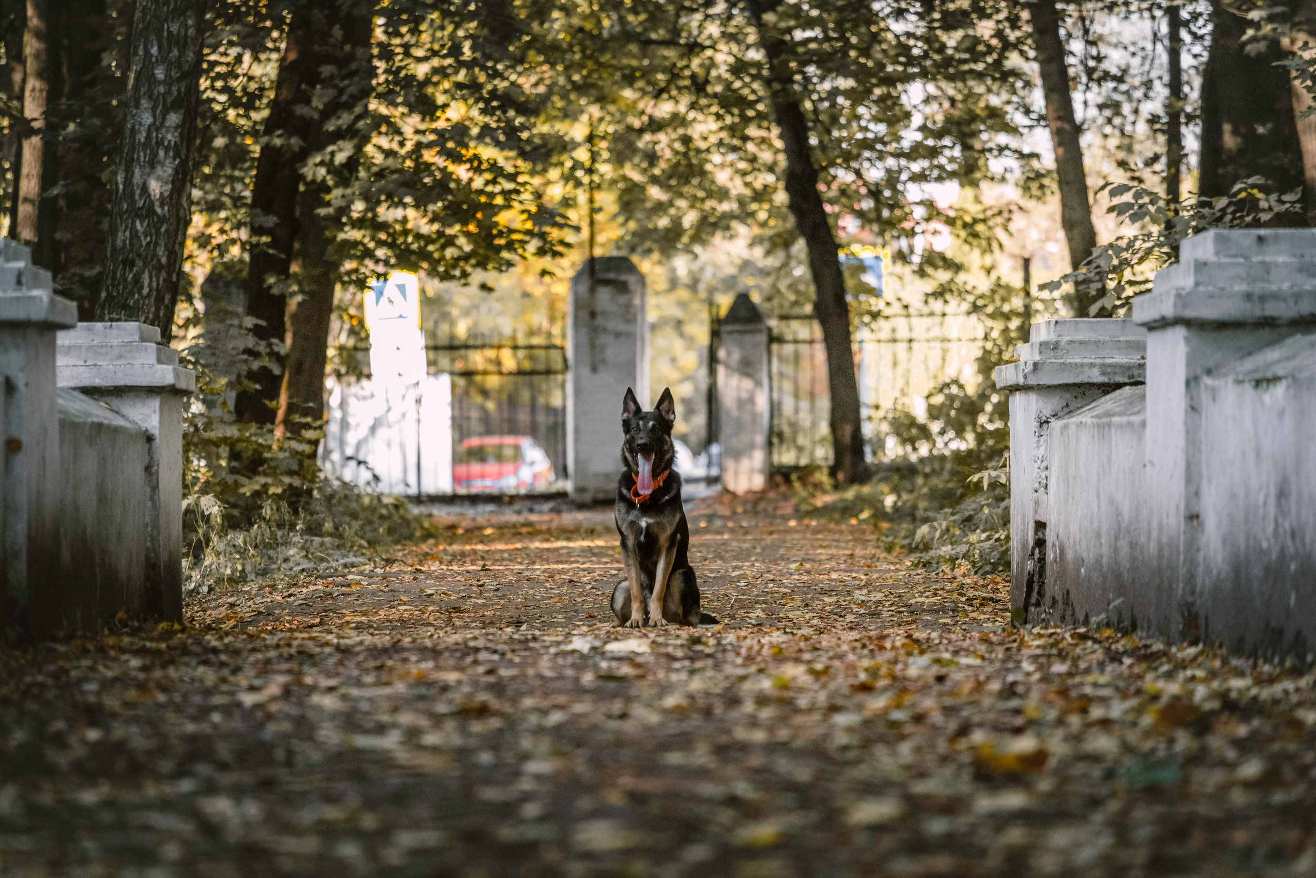 Илай. Фотограф-анималист Татьяна Степанова