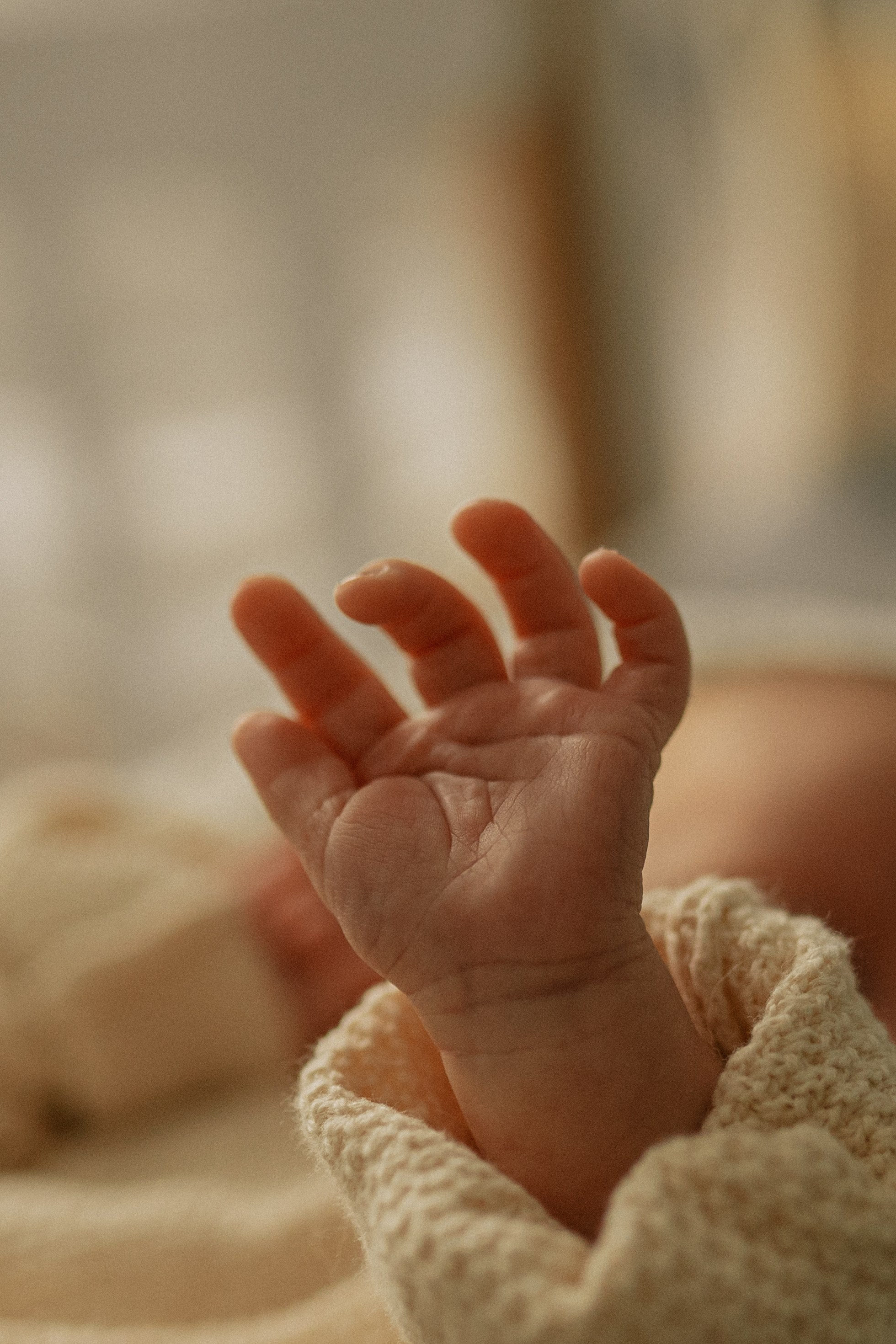 Лена, Игорь, Арина, Агата. Семейный фотограф Москва