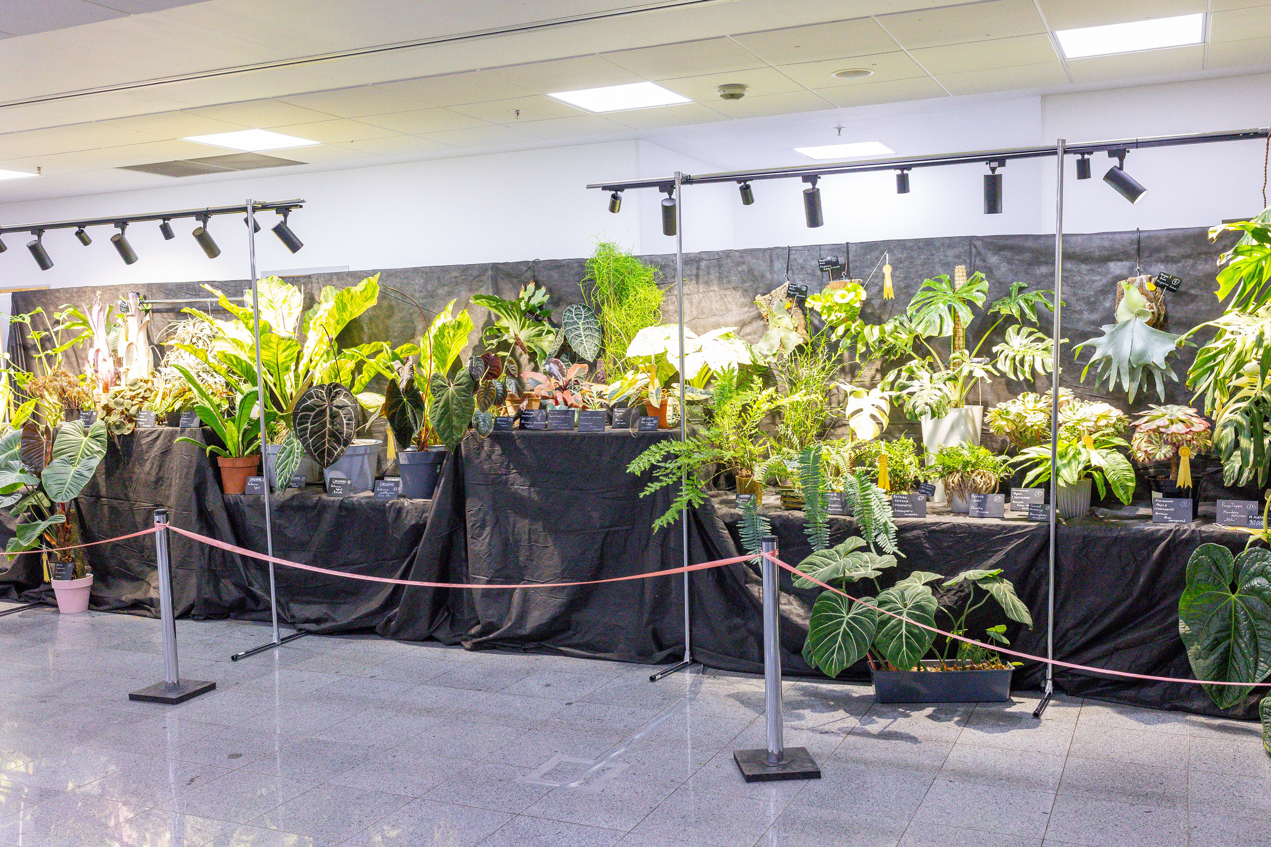 Монстериум 11–12 октября. Александра Куликова фотограф, Москва