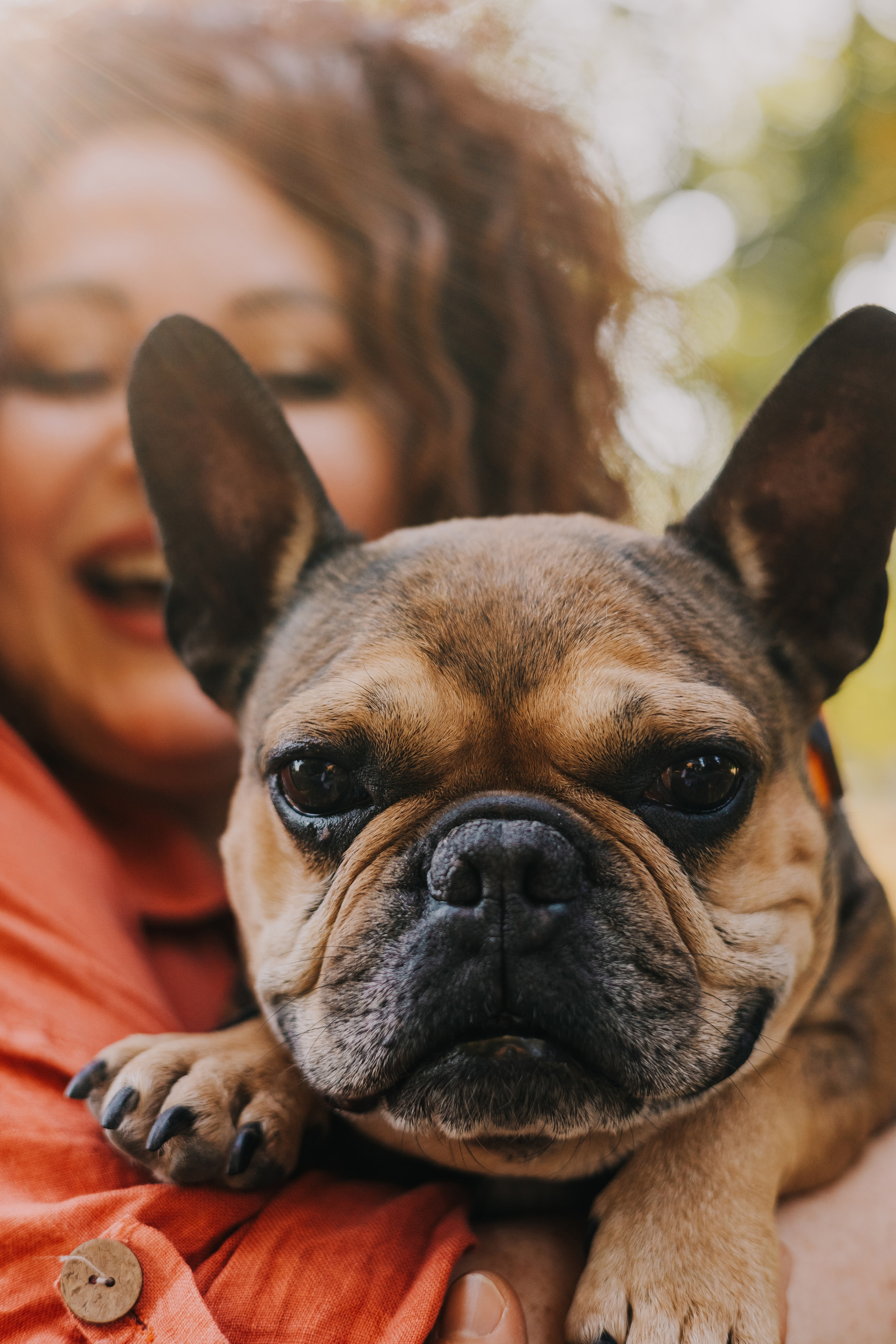Съемка с Домашними Любимцами