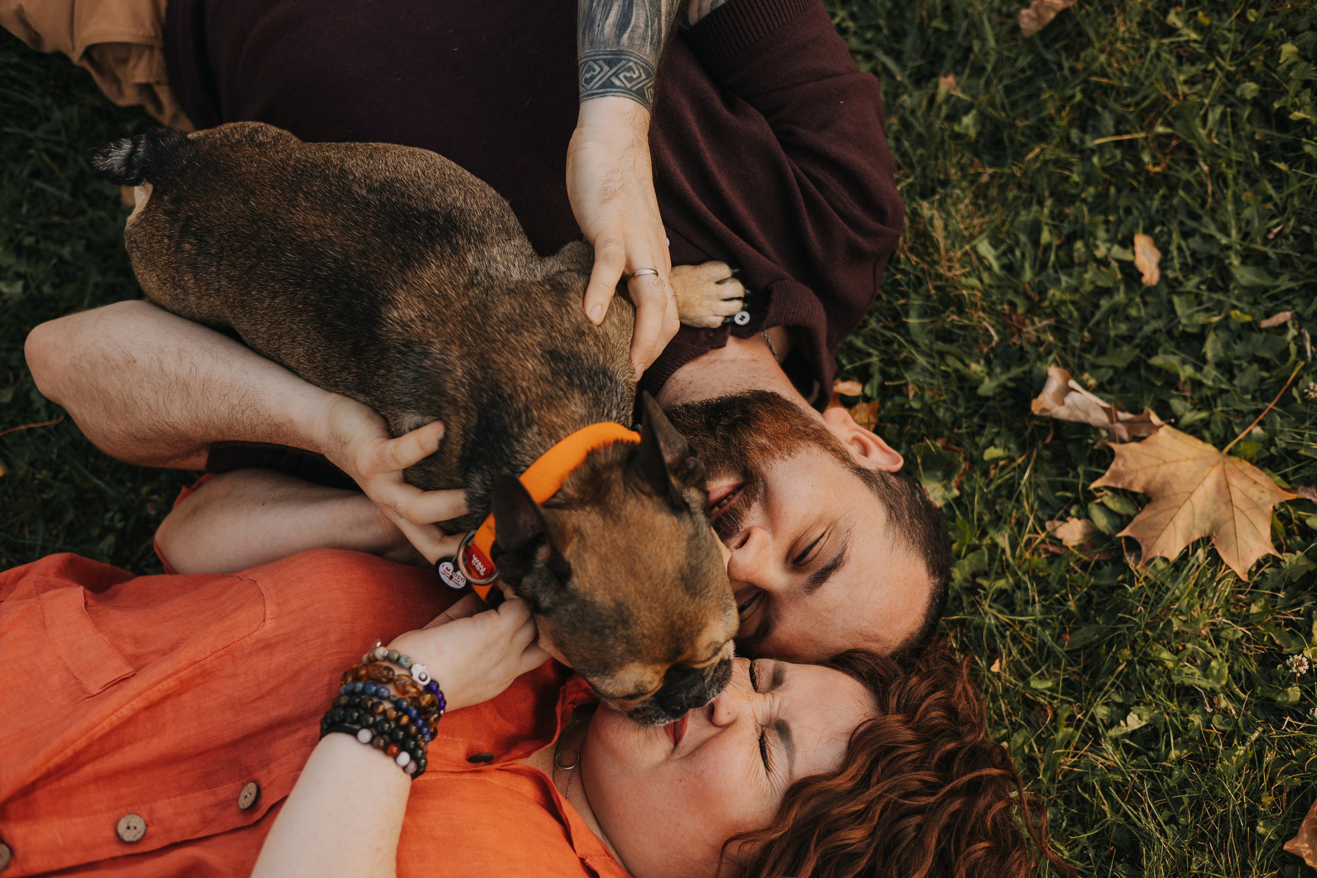 Съемка с Домашними Любимцами