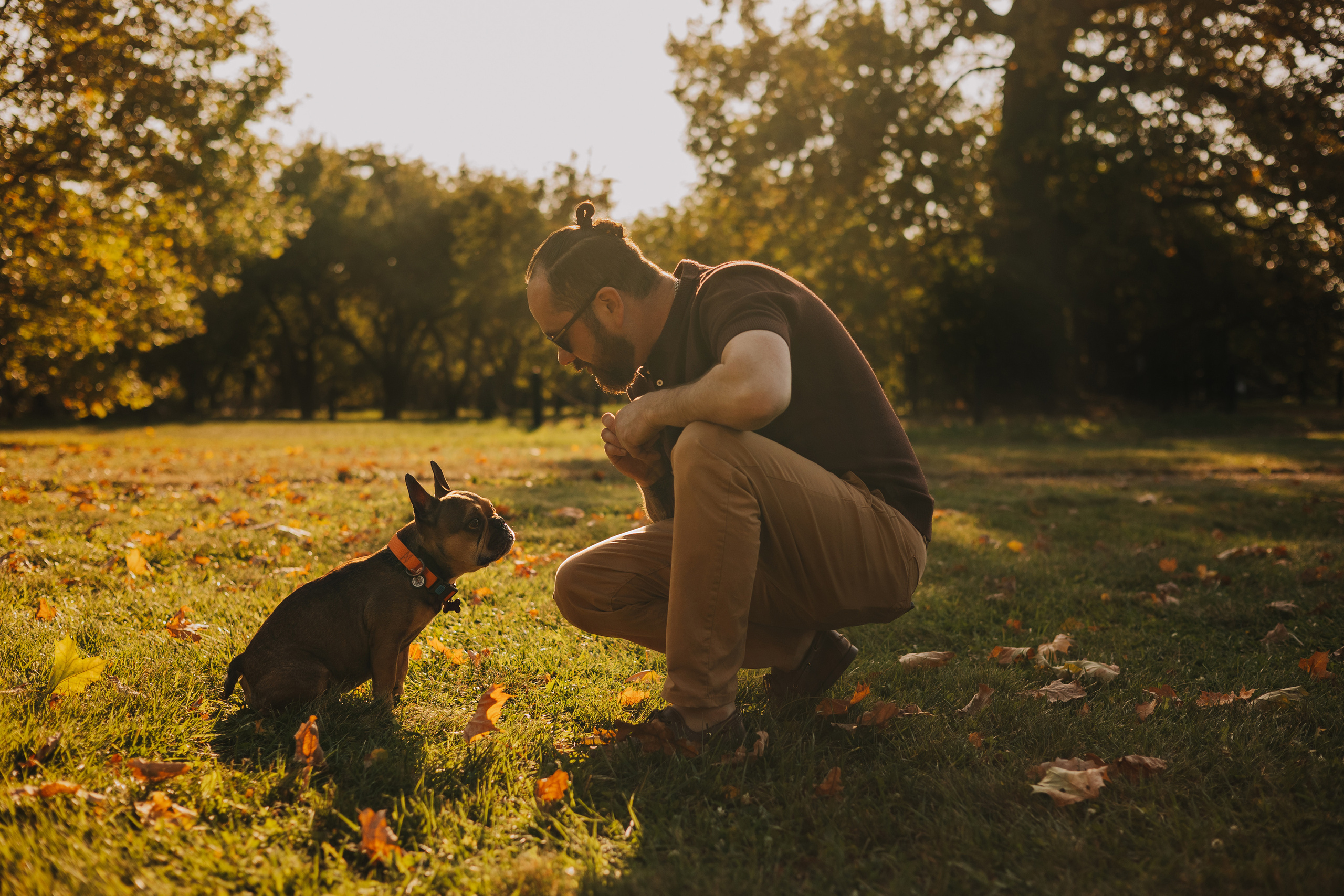 Съемка с Домашними Любимцами