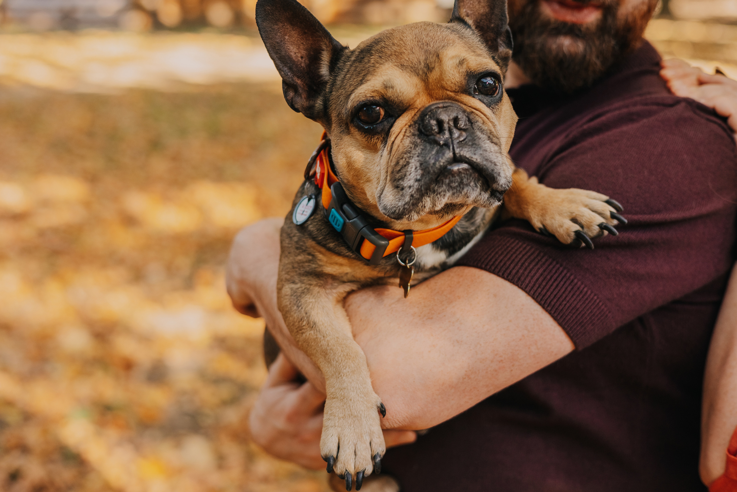 Съемка с Домашними Любимцами