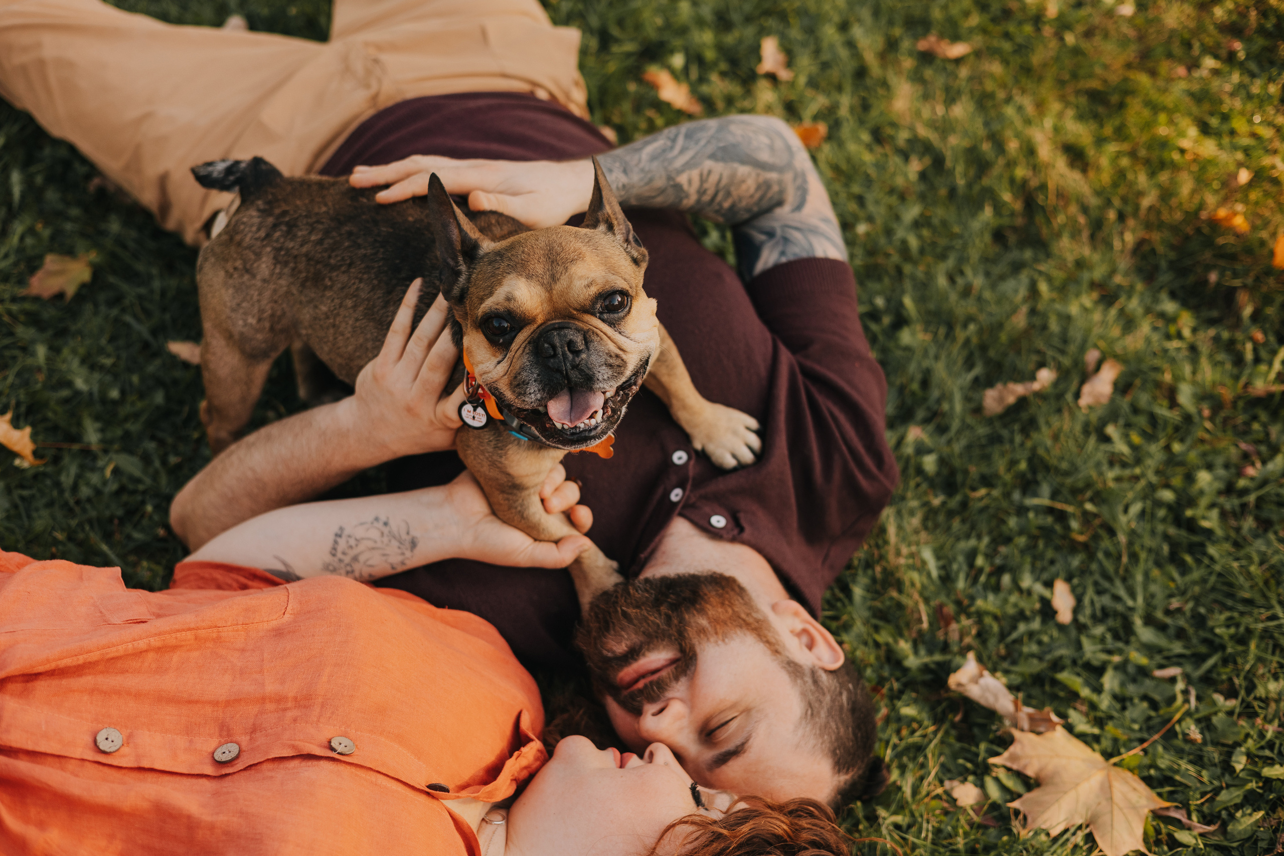 Съемка с Домашними Любимцами