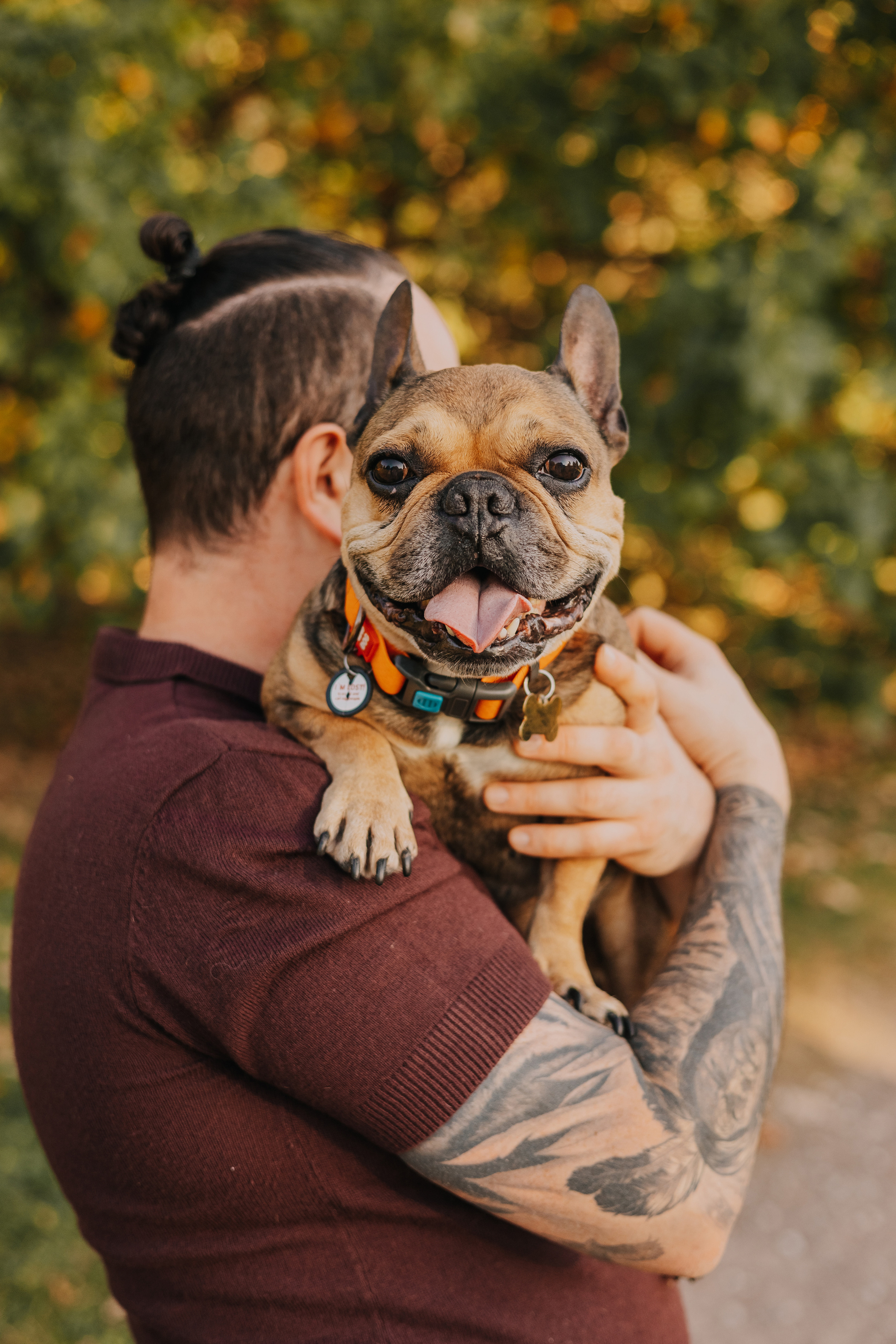 Съемка с Домашними Любимцами