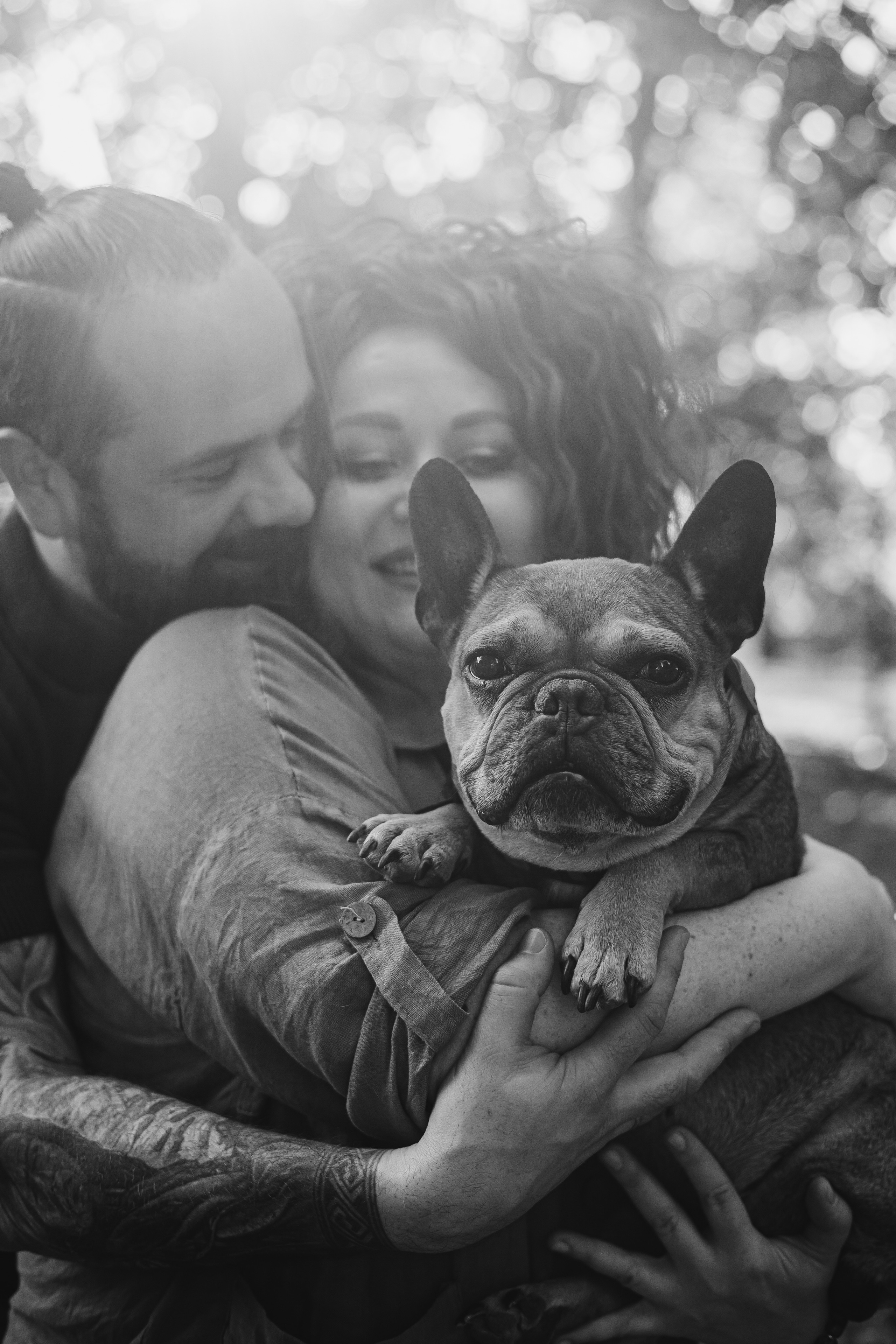 Съемка с Домашними Любимцами