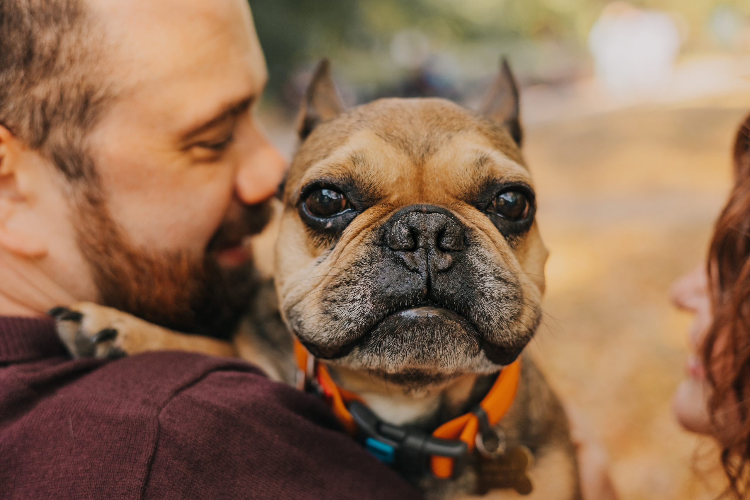 Съемка с Домашними Любимцами