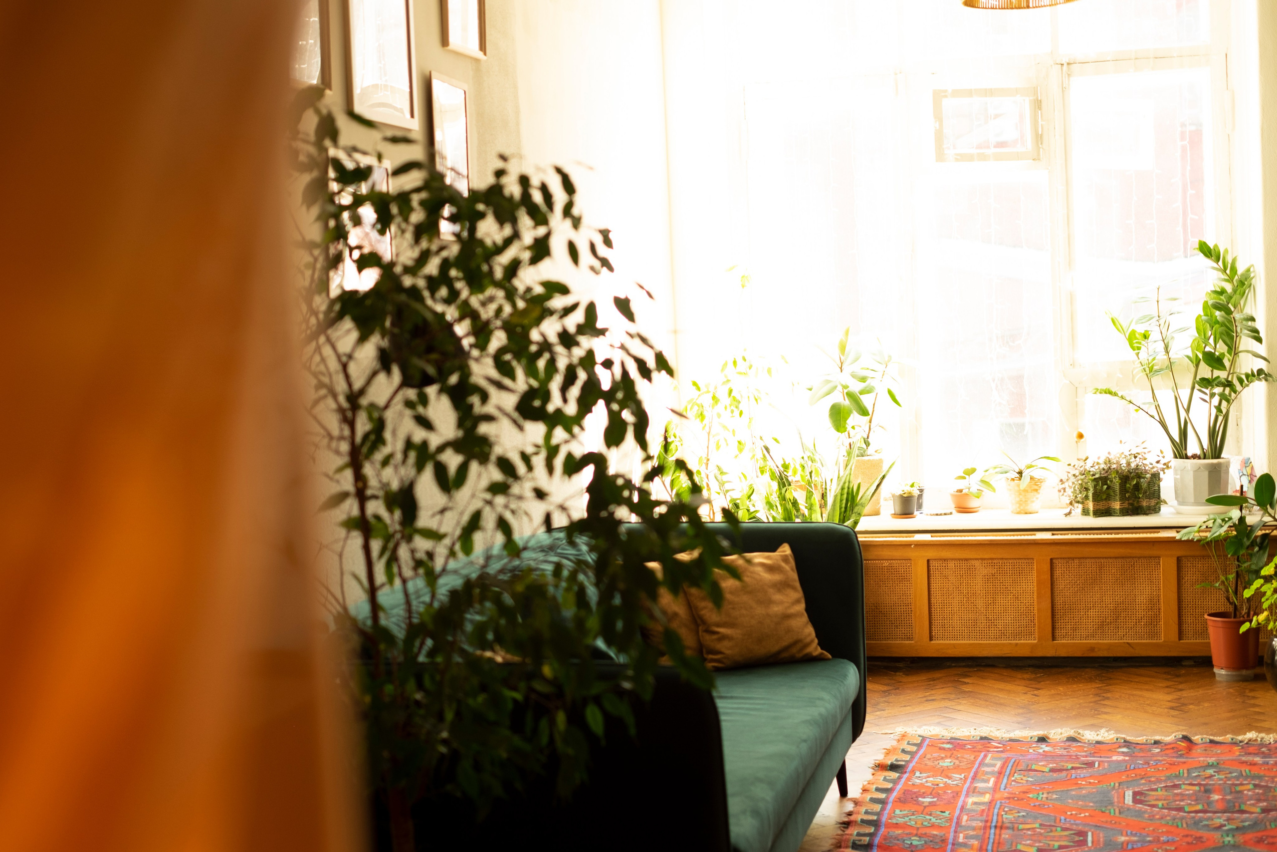 Фотограф в Раменском, фотостудия в Раменском. Фототерапия «Пульс СЧАСТЬЯ»