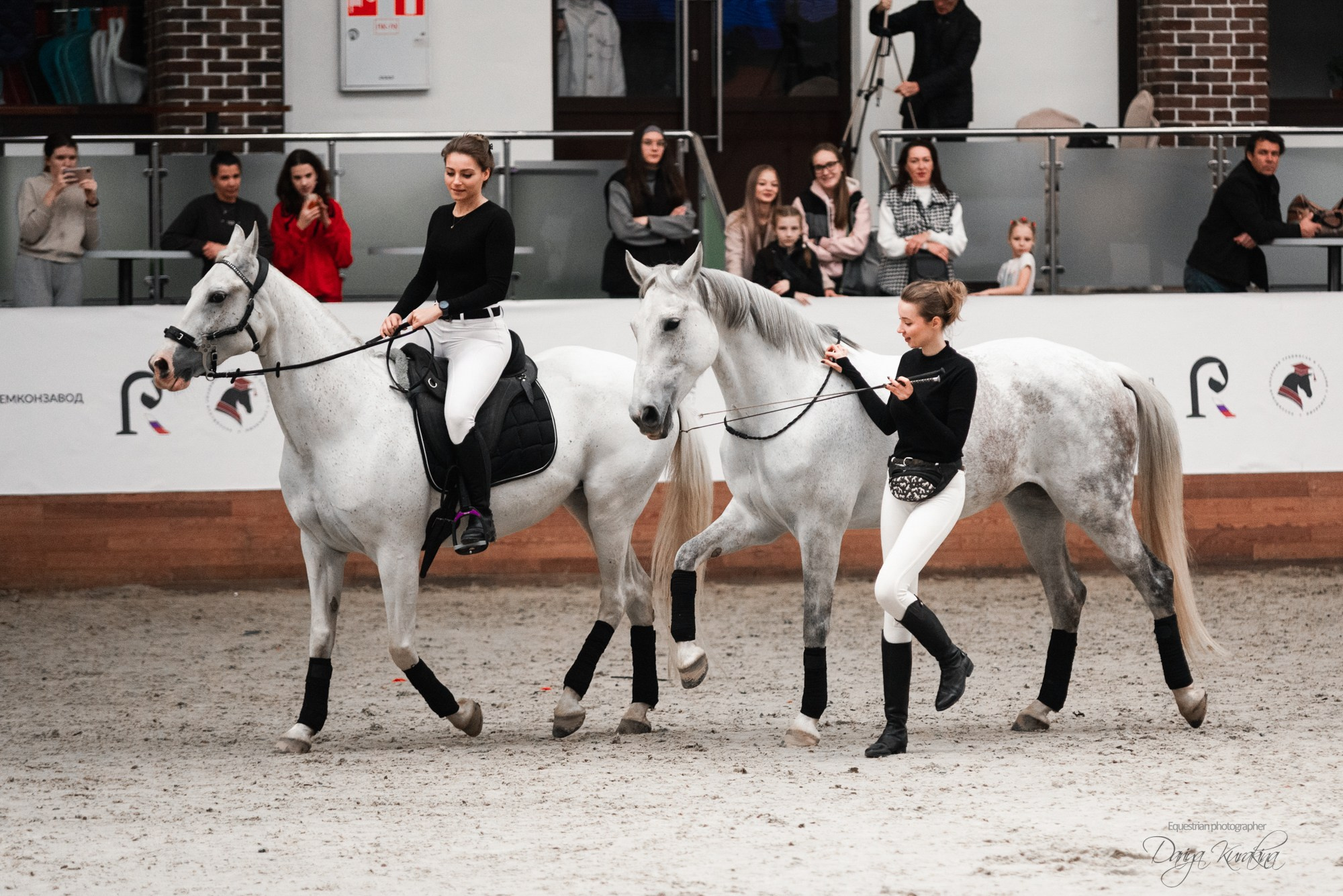 8-я международная выставка Конная Россия. Конный фотограф Куракина Дарья • Фотосессии с лошадьми