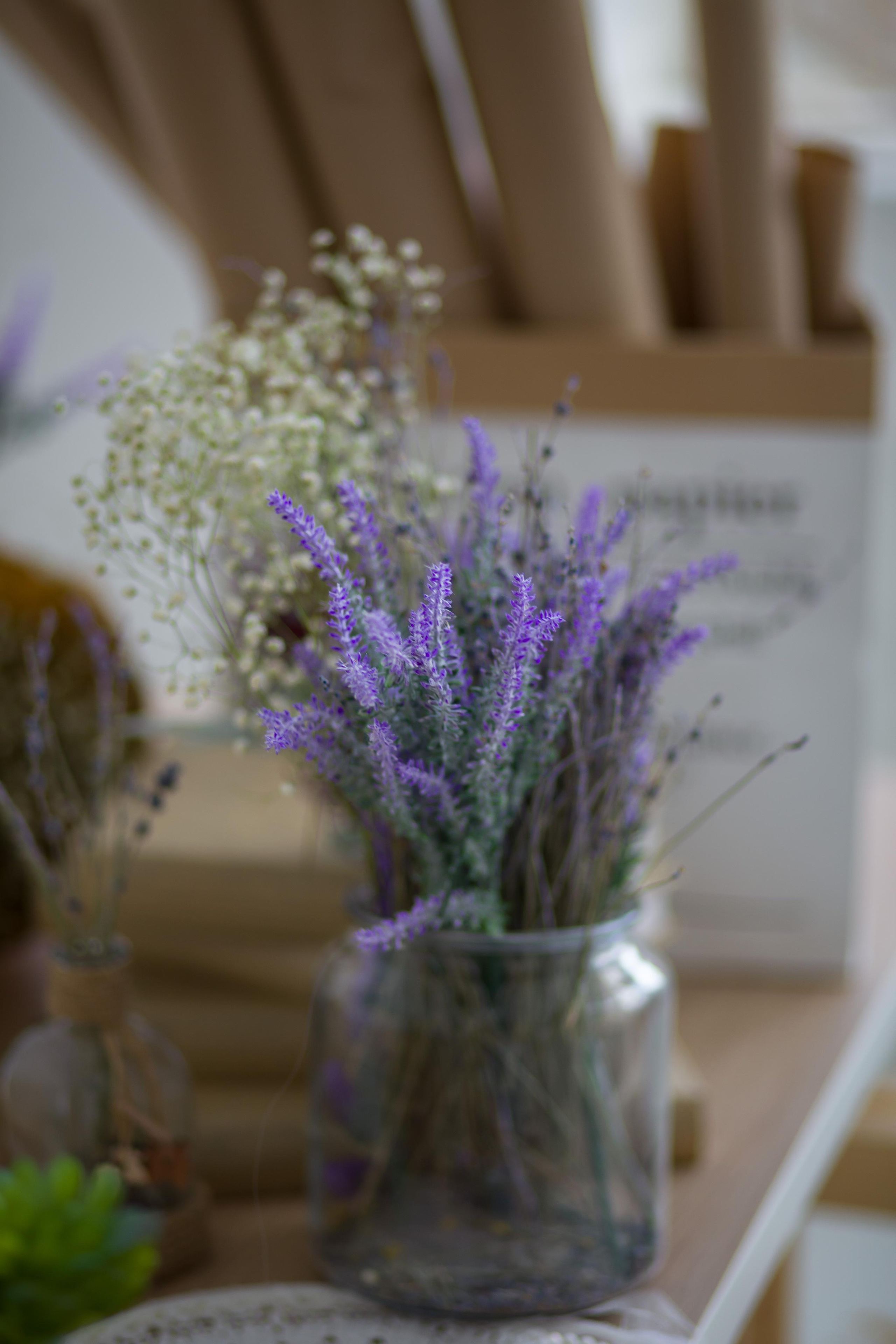 Фотостудия Малина г. Мытищи. Семейный и женский фотограф в Москве Евгения Малина