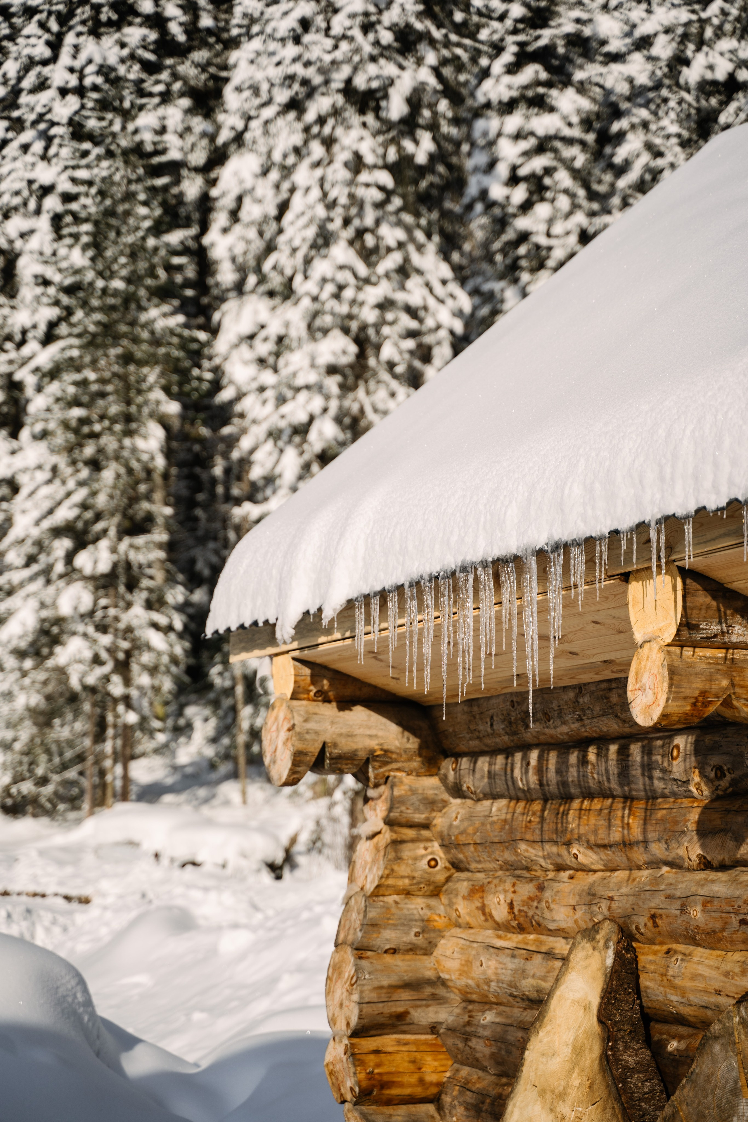 Гостевой дом София. Фотограф Ольга Пучкова