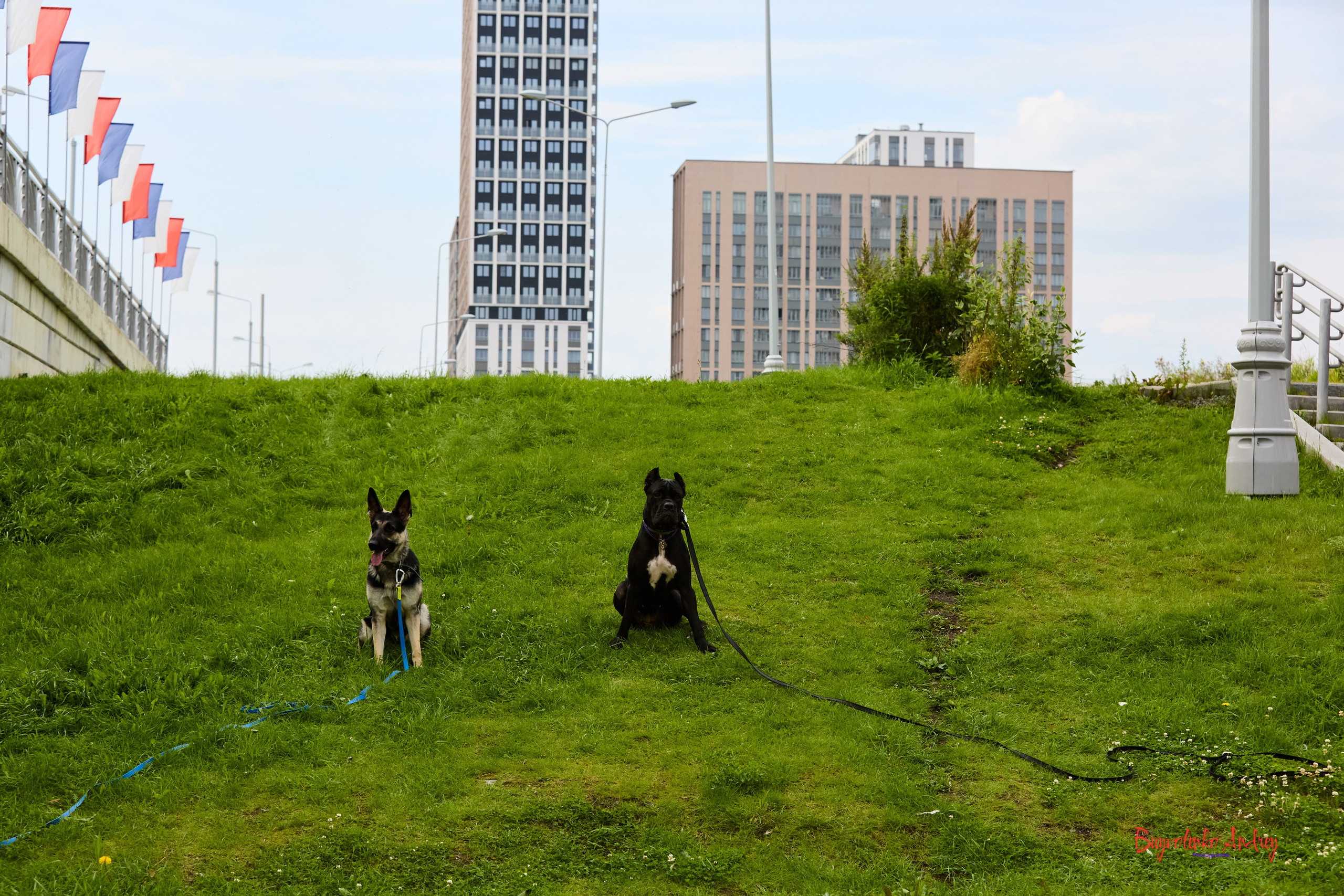 Проект фотопрогулка с хвостиком. Buyvolenko Andrey