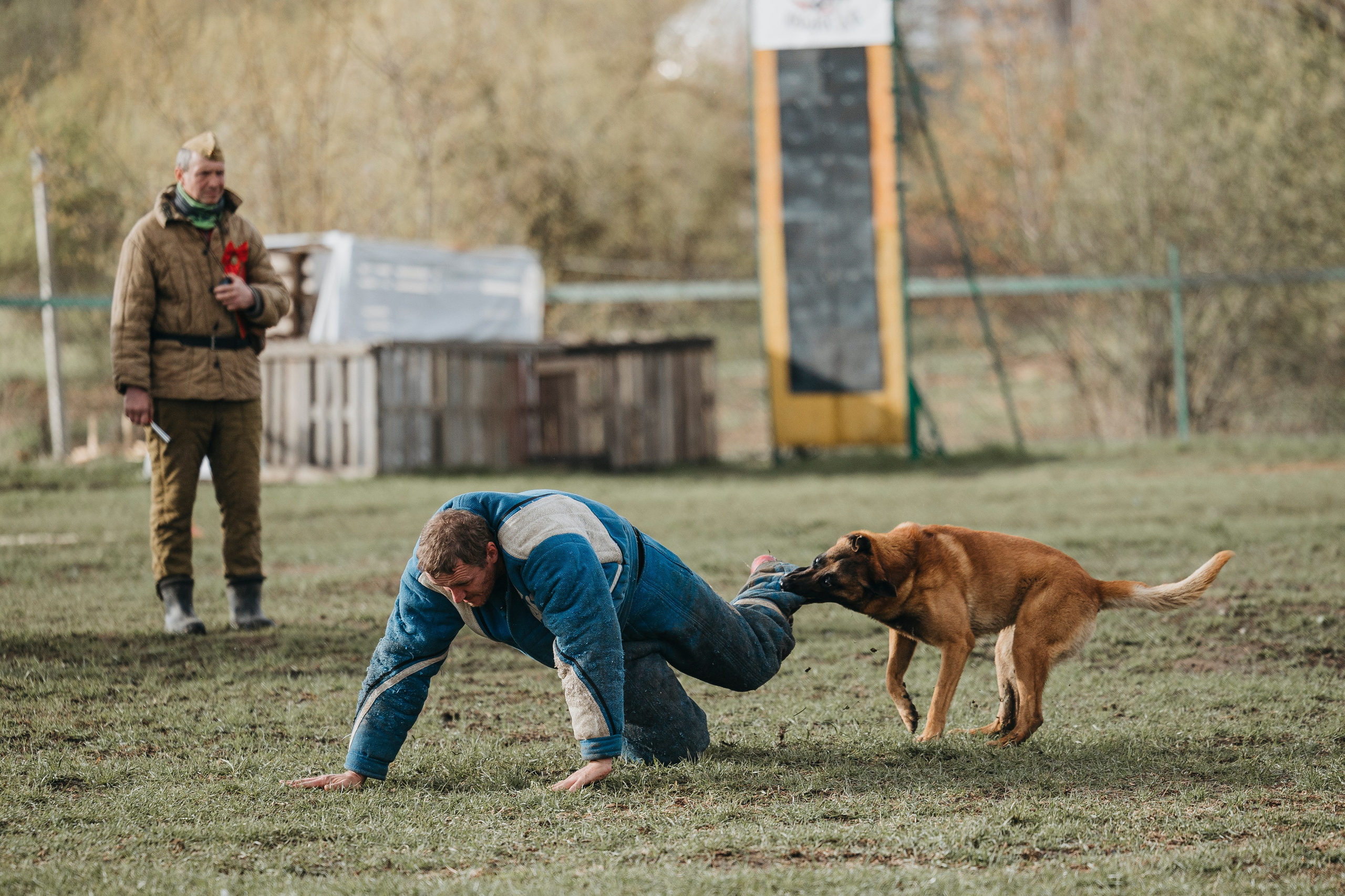 09.05.25 Вологда соревнования. Фотограф-анималист Анна Маринич